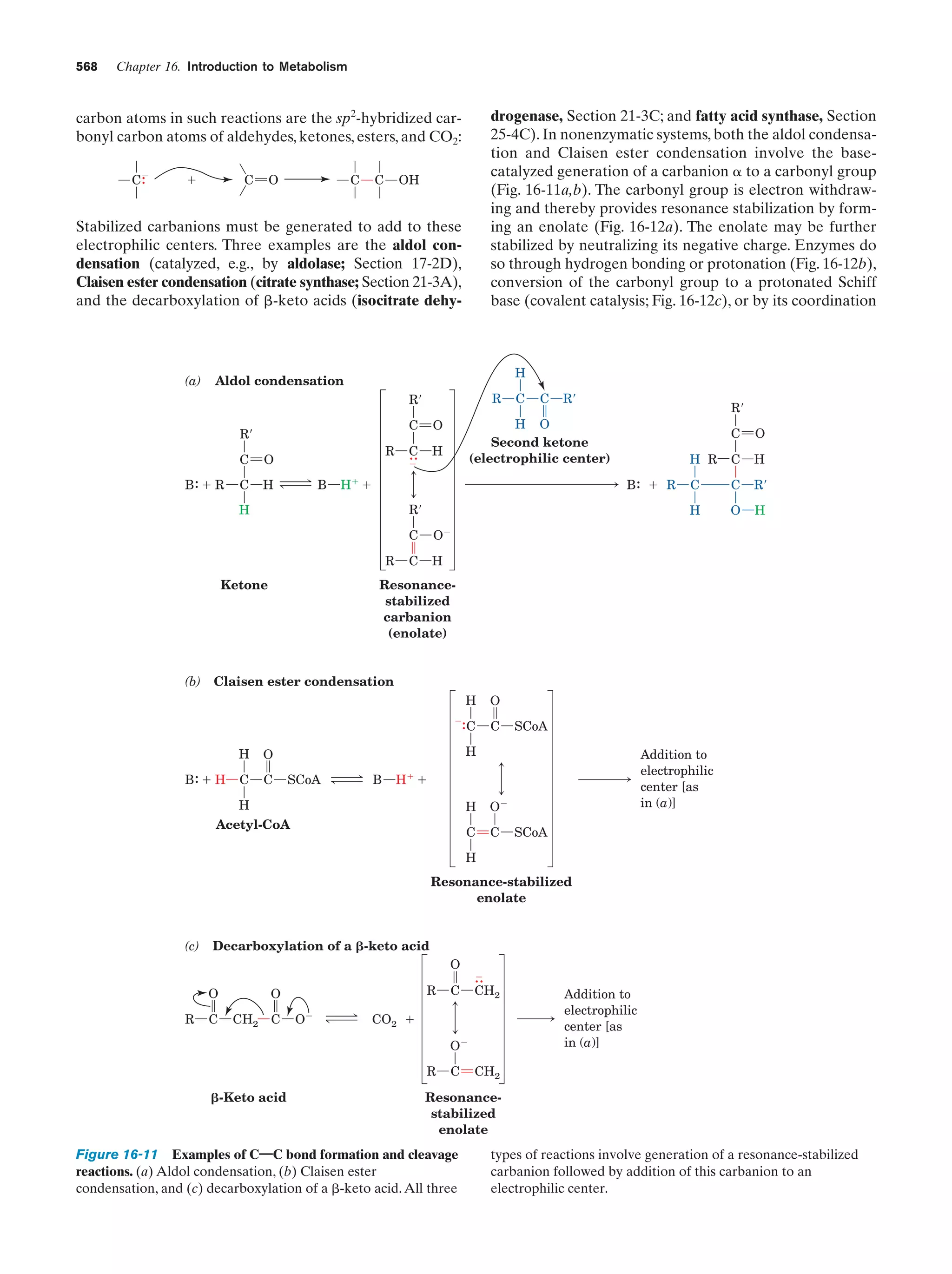 Biochemistry.4th.edition