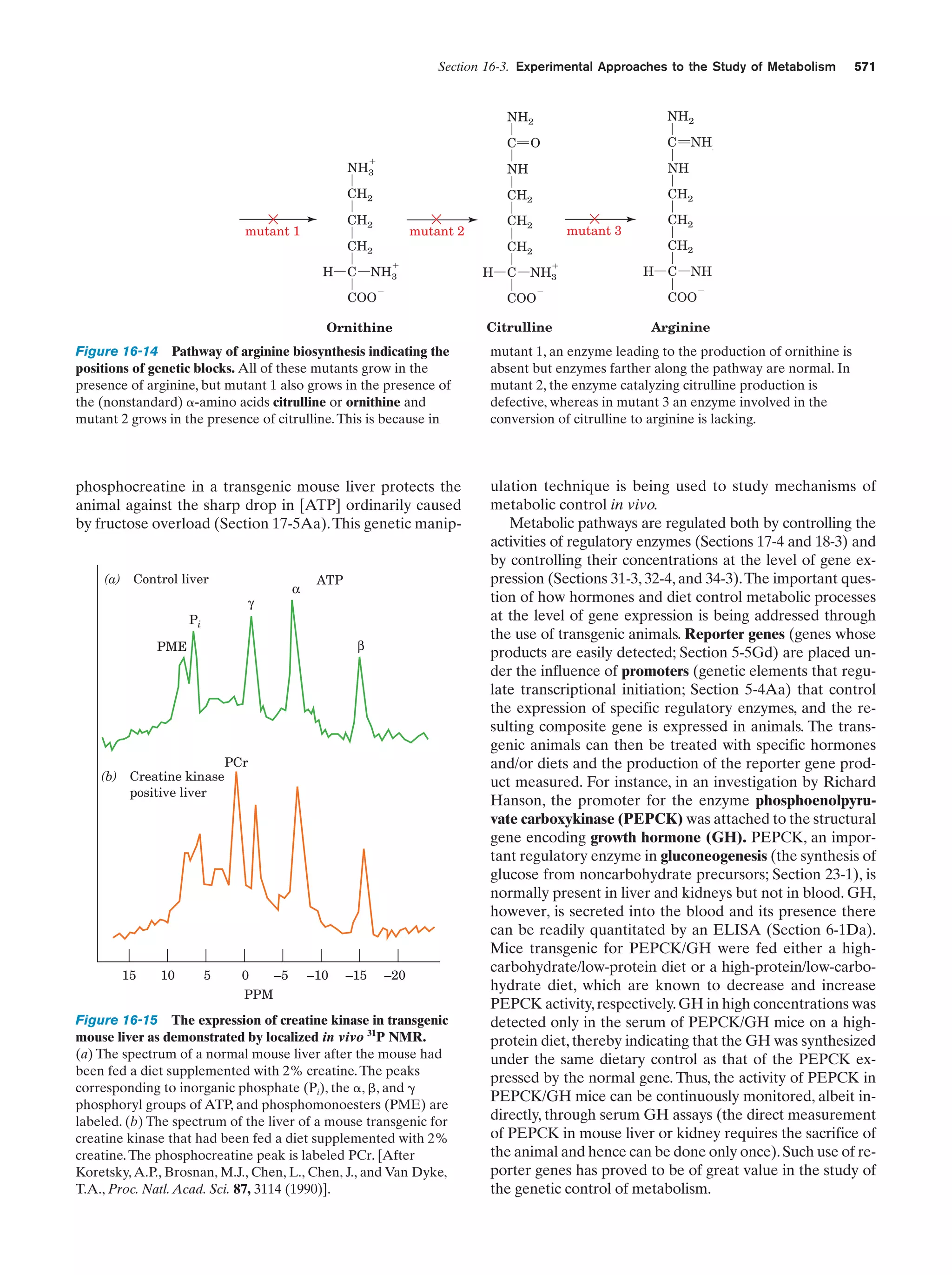 Biochemistry.4th.edition