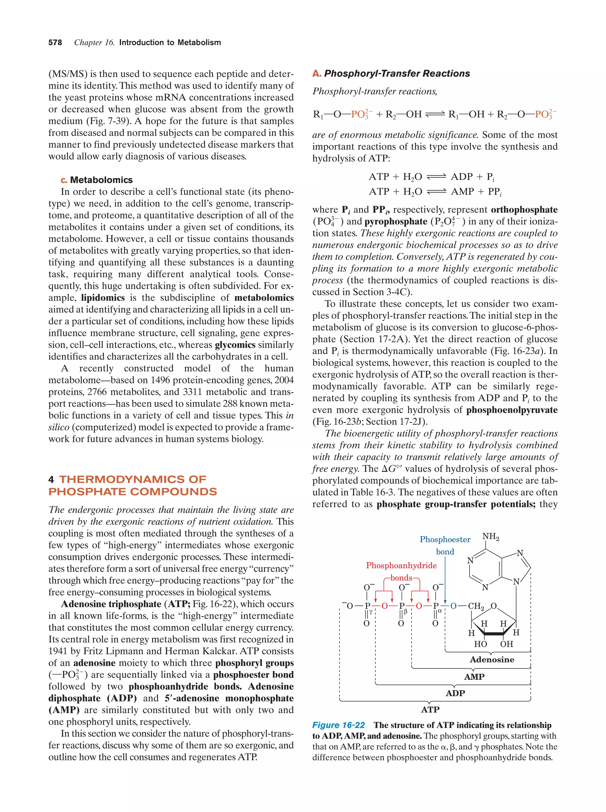 Biochemistry.4th.edition