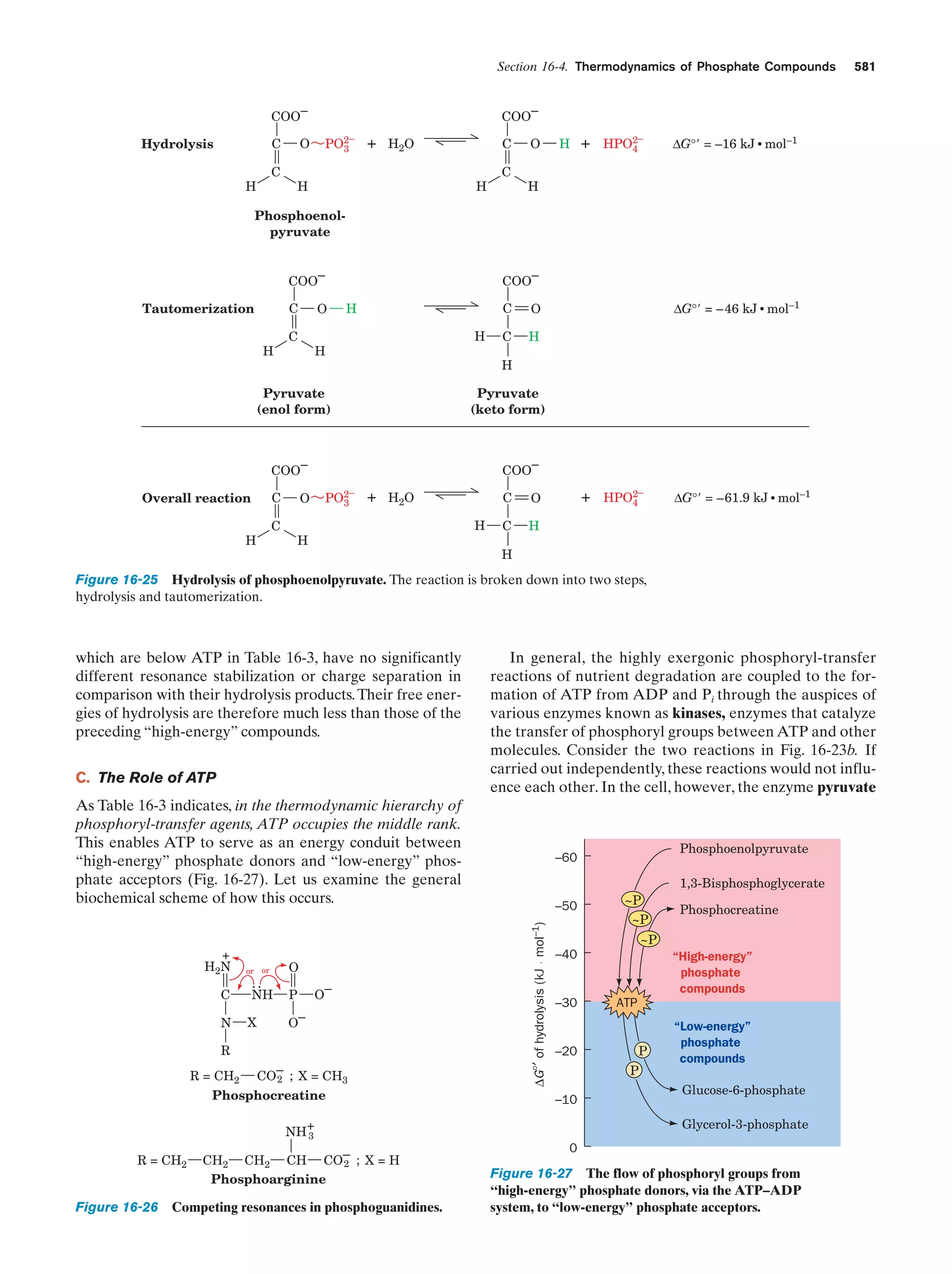 Biochemistry.4th.edition