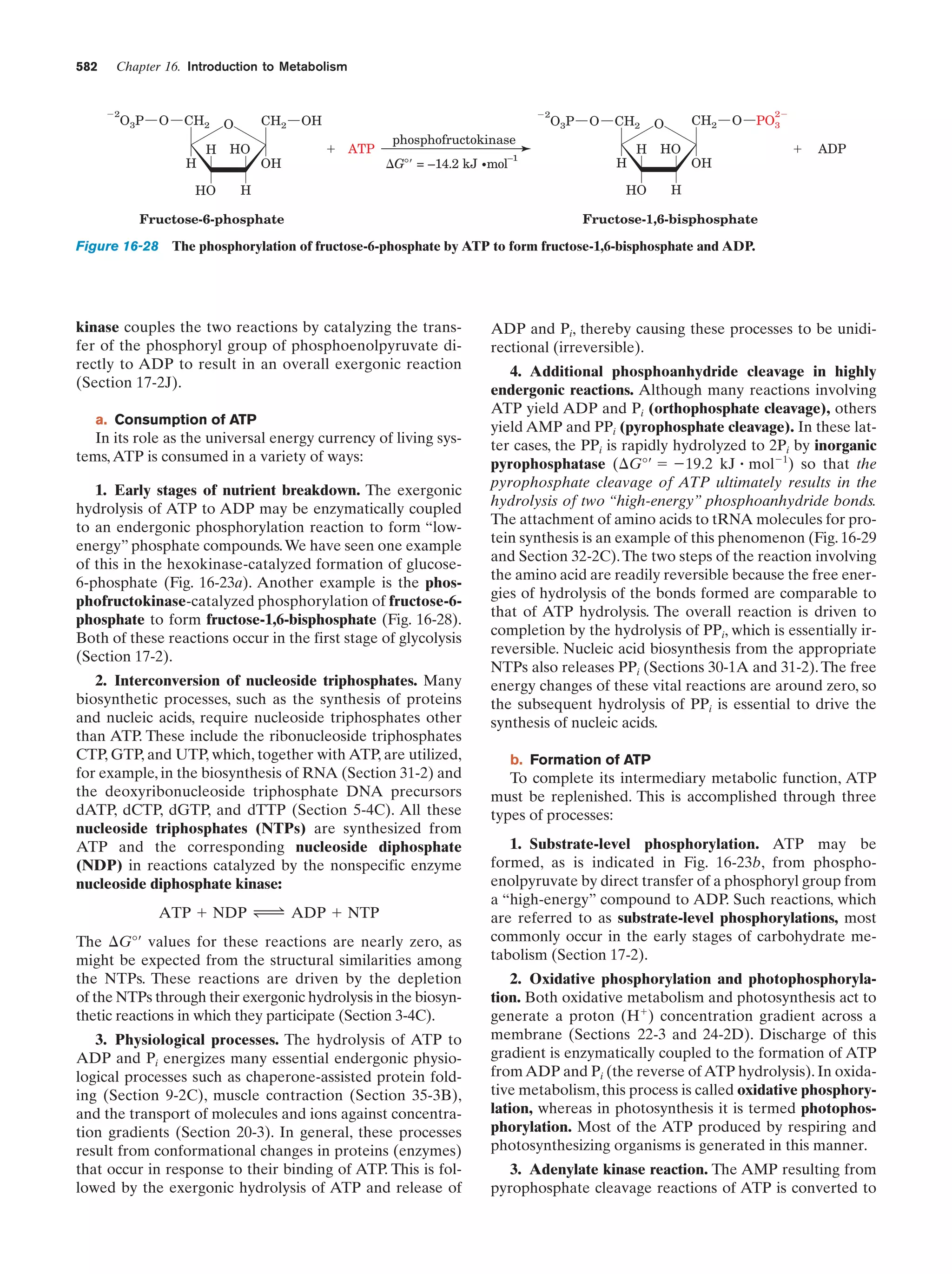 Biochemistry.4th.edition