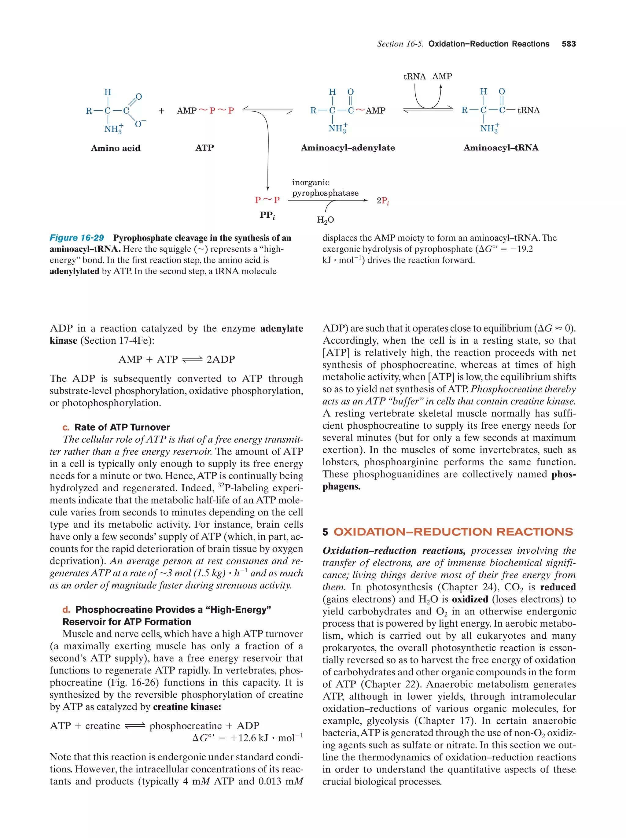 Biochemistry.4th.edition