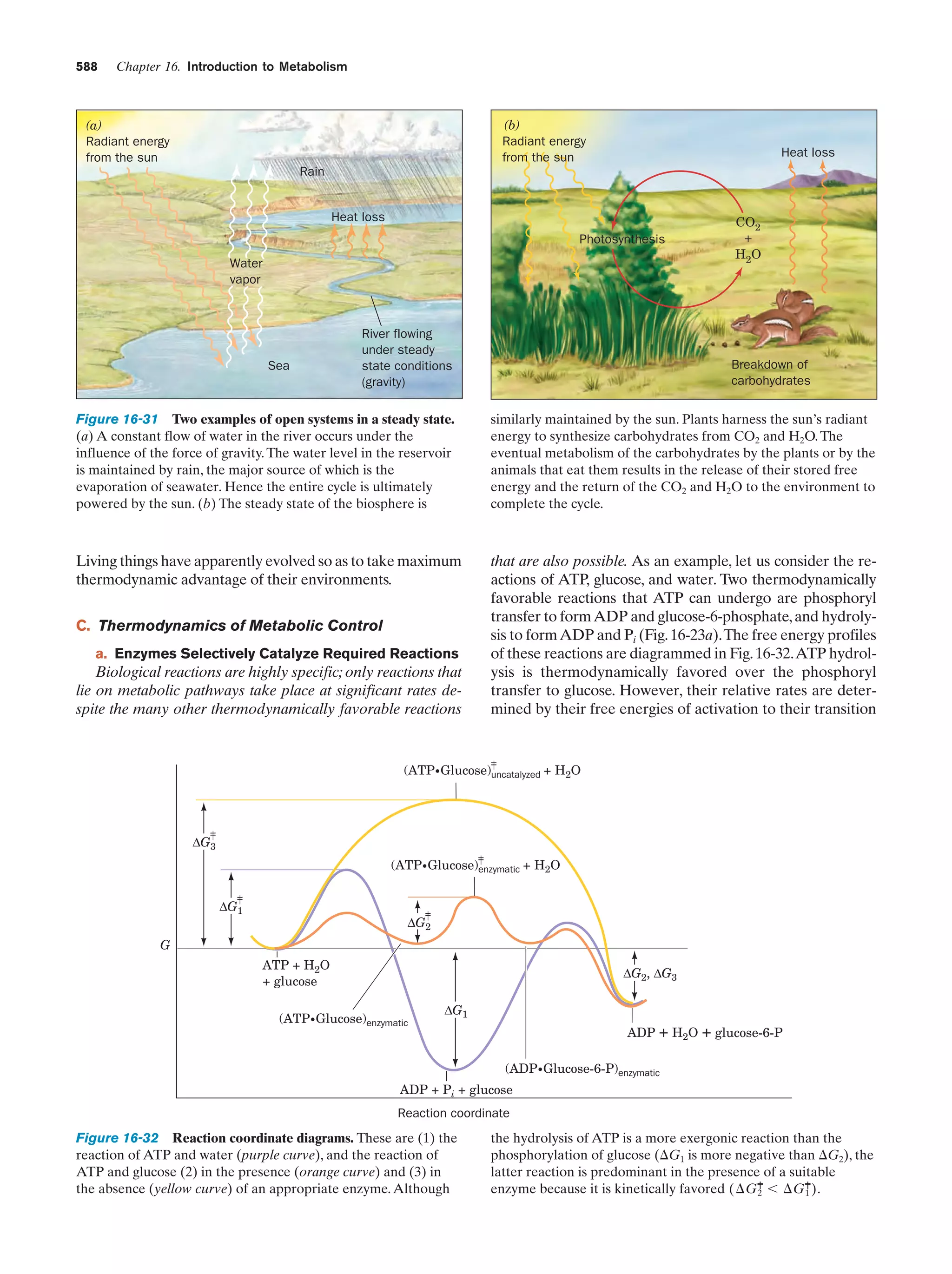 Biochemistry.4th.edition