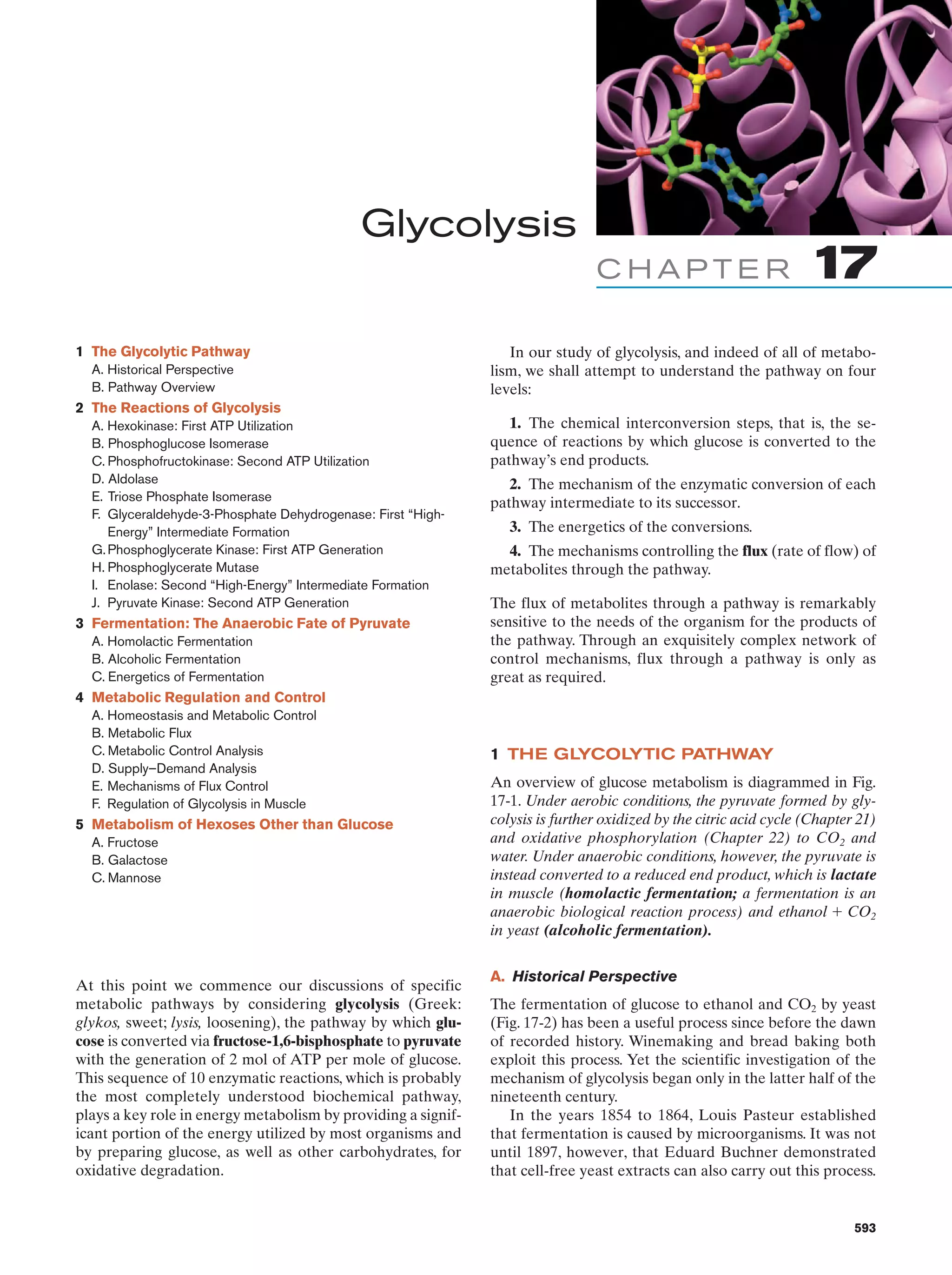 Biochemistry.4th.edition
