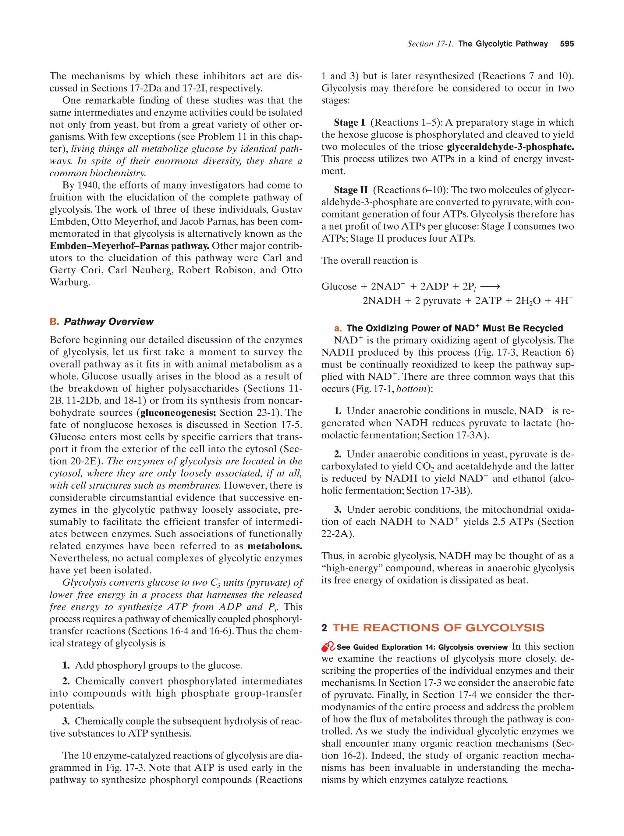Biochemistry.4th.edition
