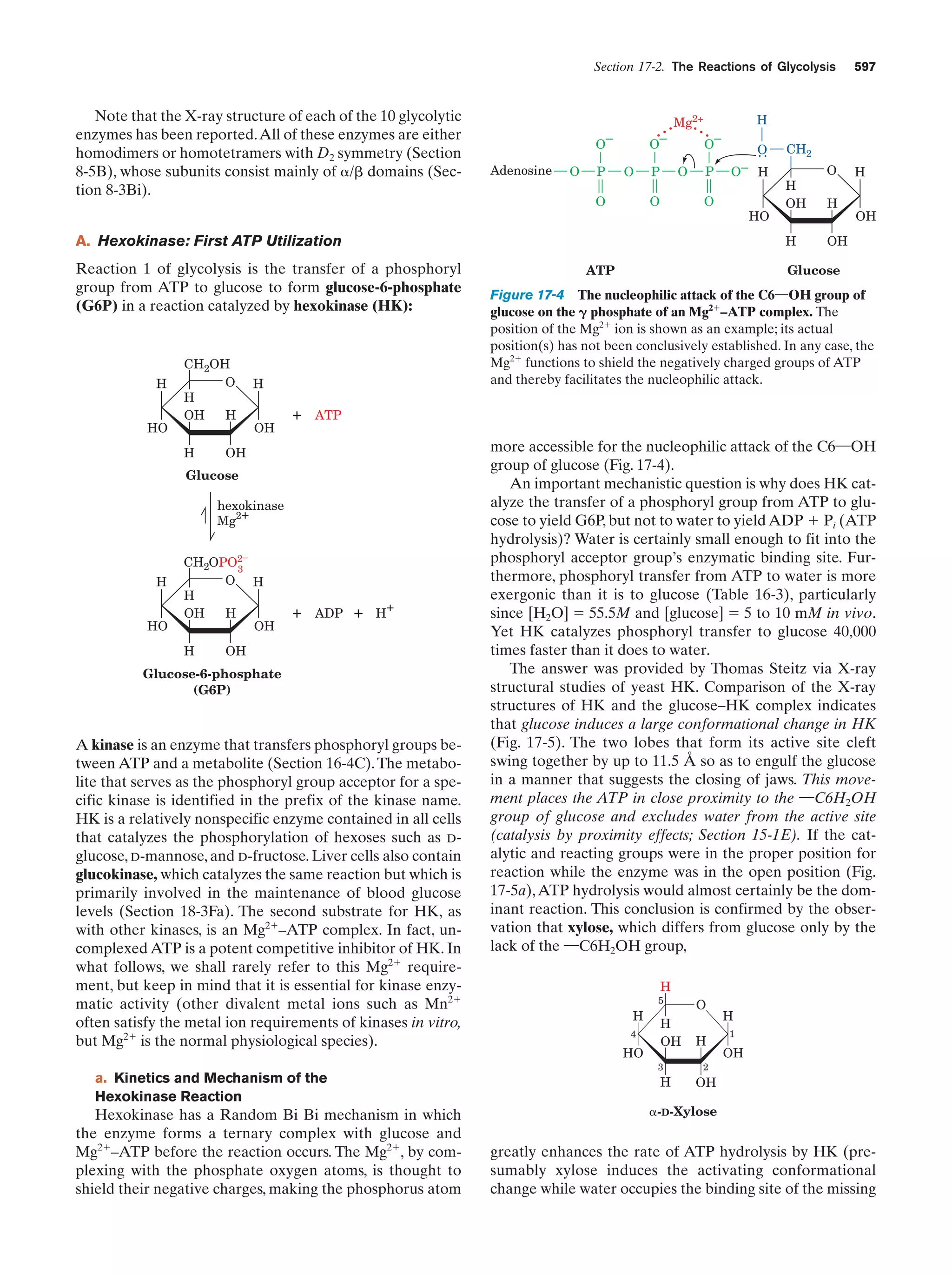 Biochemistry.4th.edition