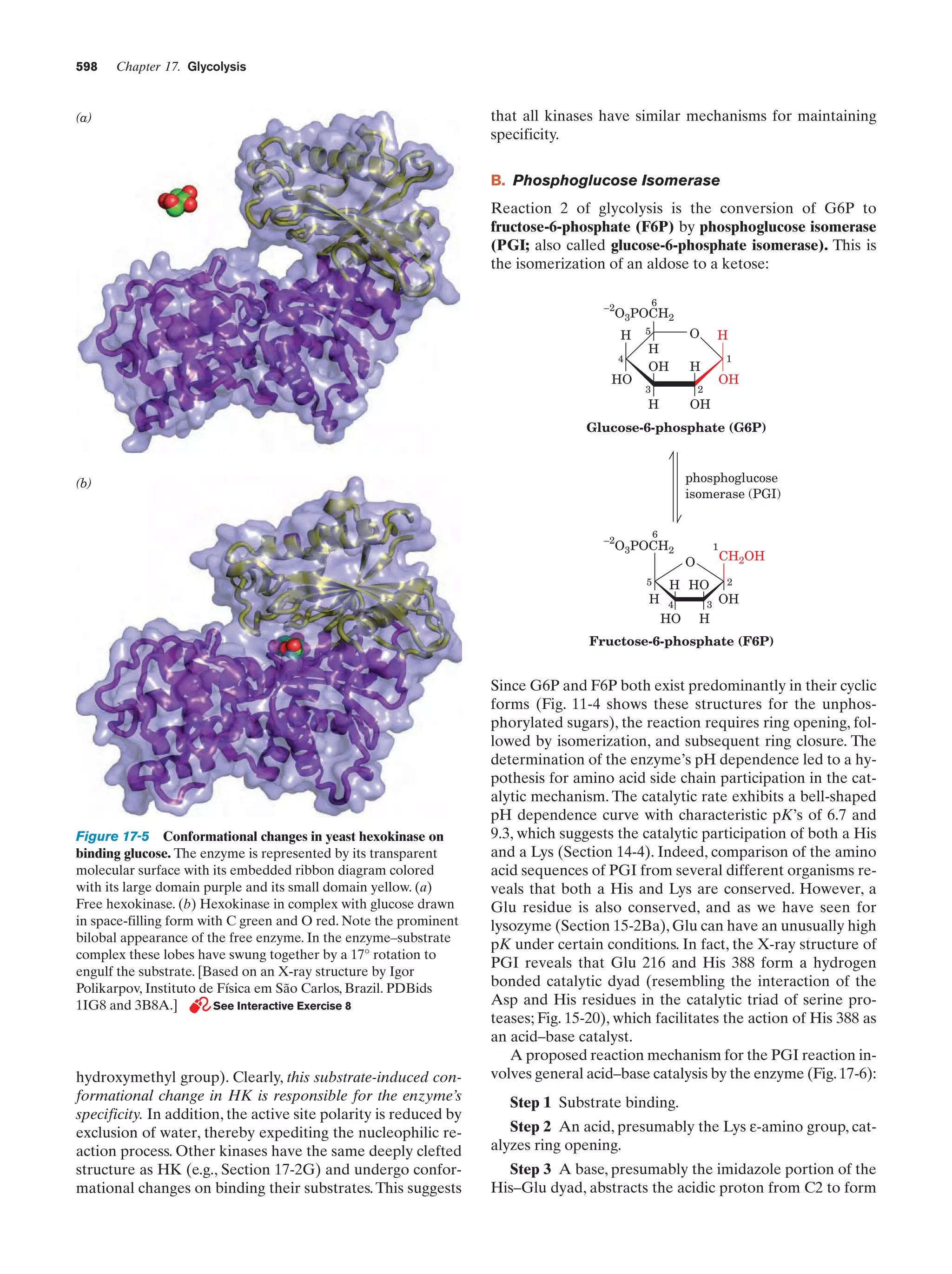Biochemistry.4th.edition