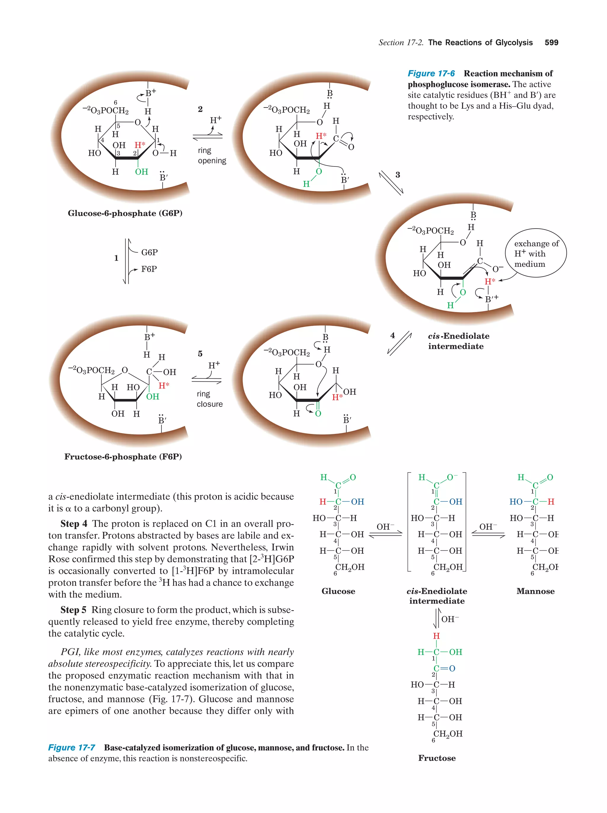 Biochemistry.4th.edition