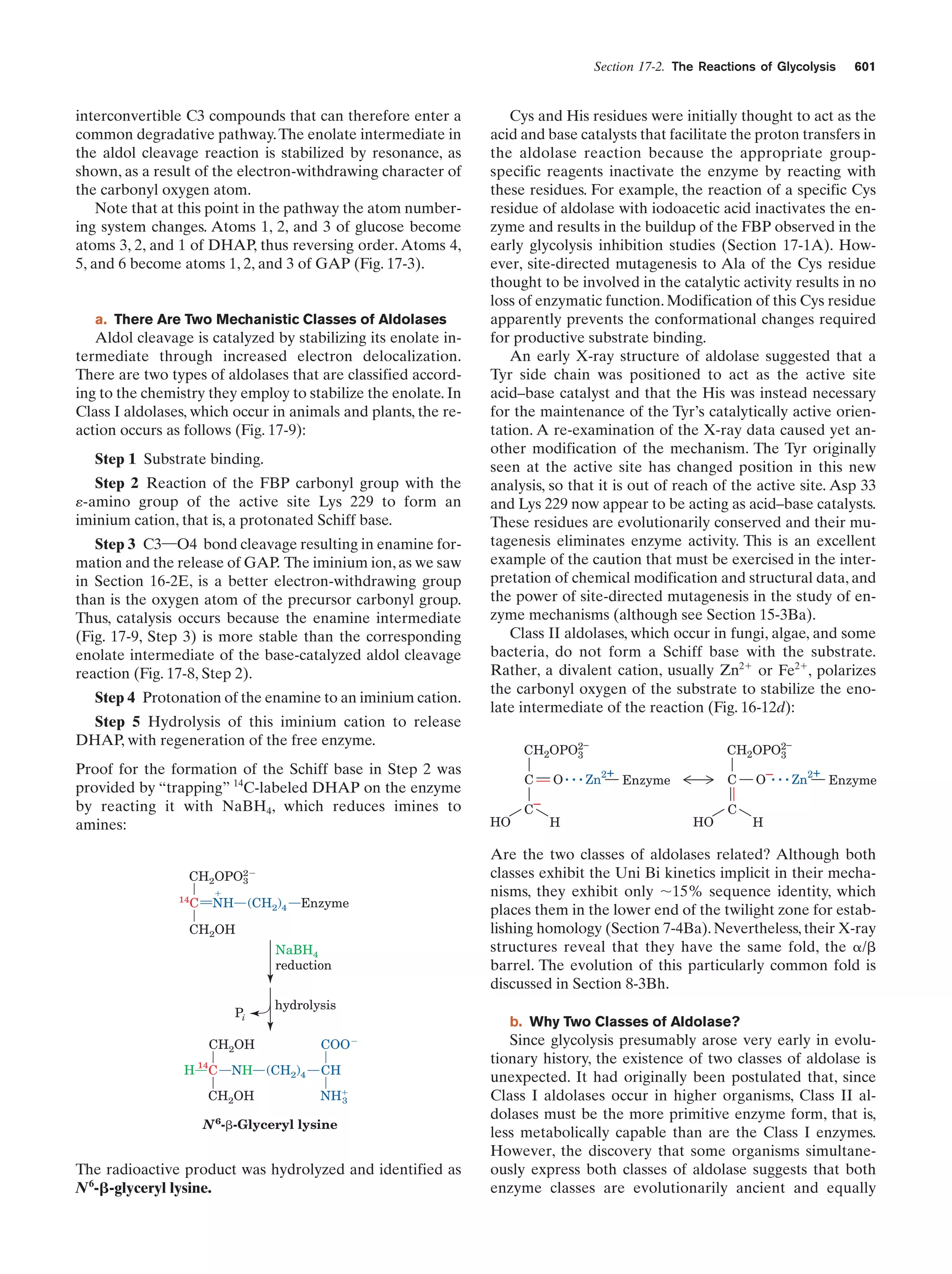 Biochemistry.4th.edition