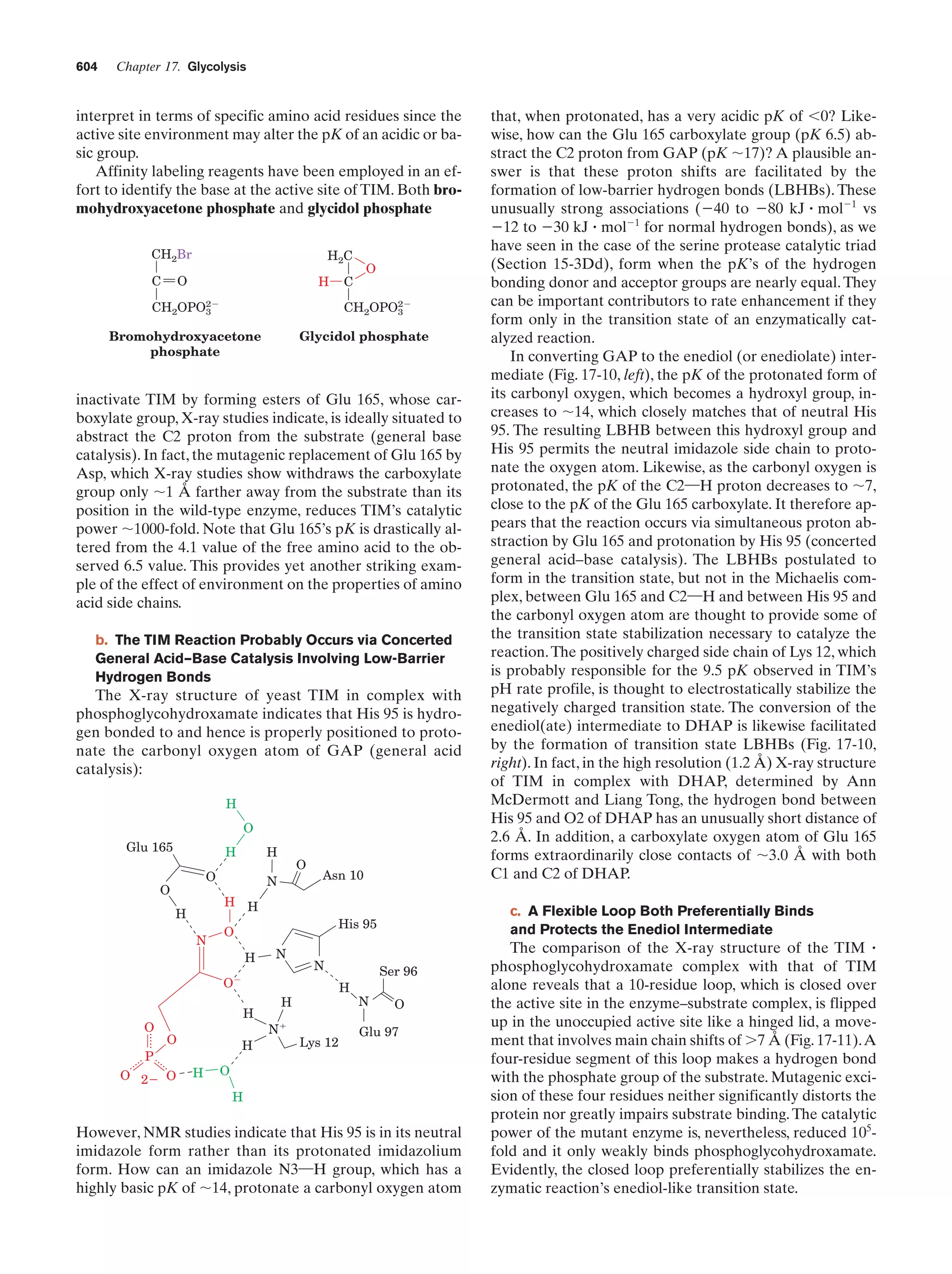Biochemistry.4th.edition