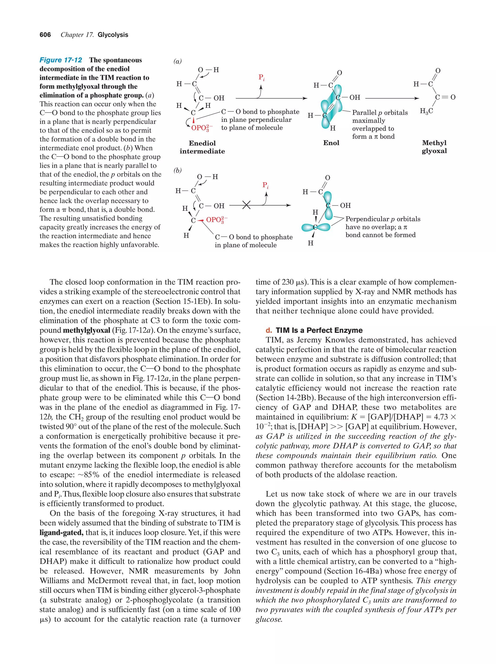 Biochemistry.4th.edition