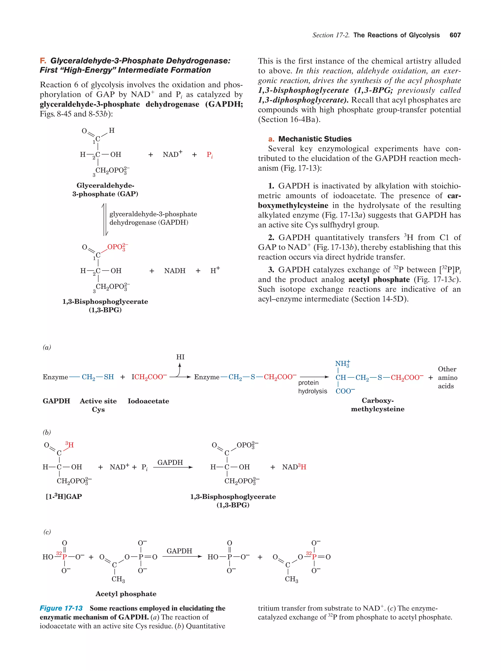 Biochemistry.4th.edition