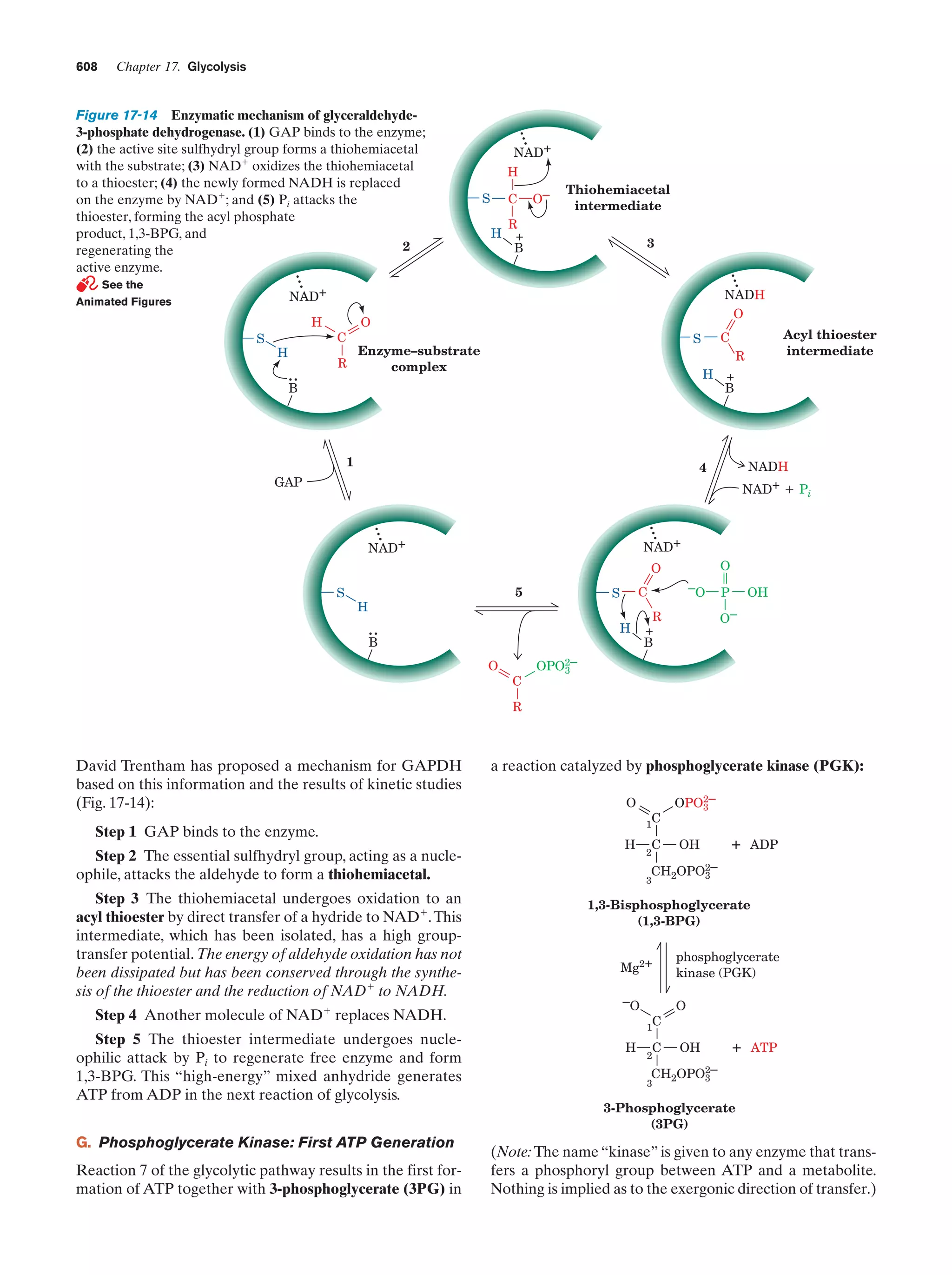 Biochemistry.4th.edition