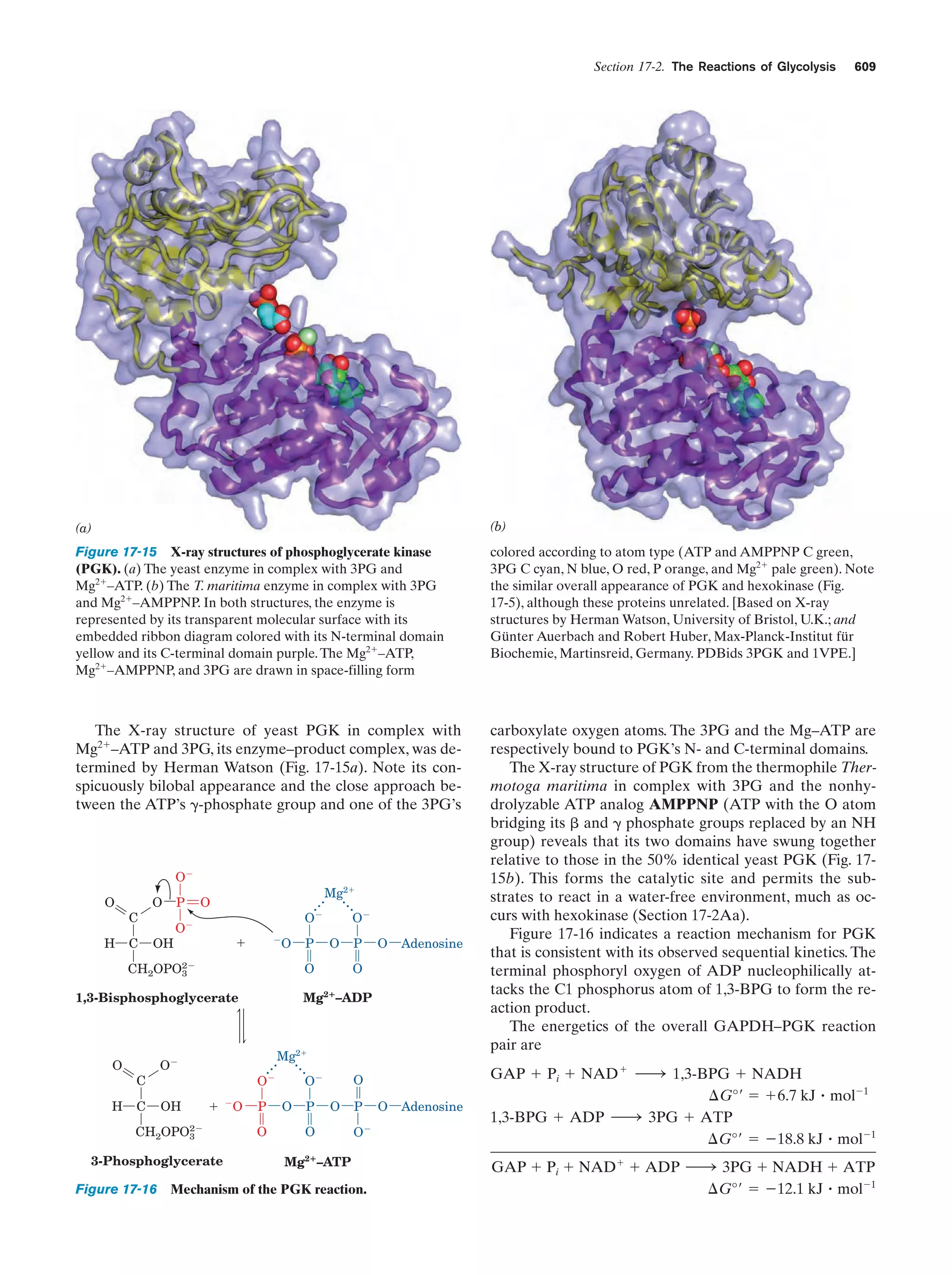 Biochemistry.4th.edition