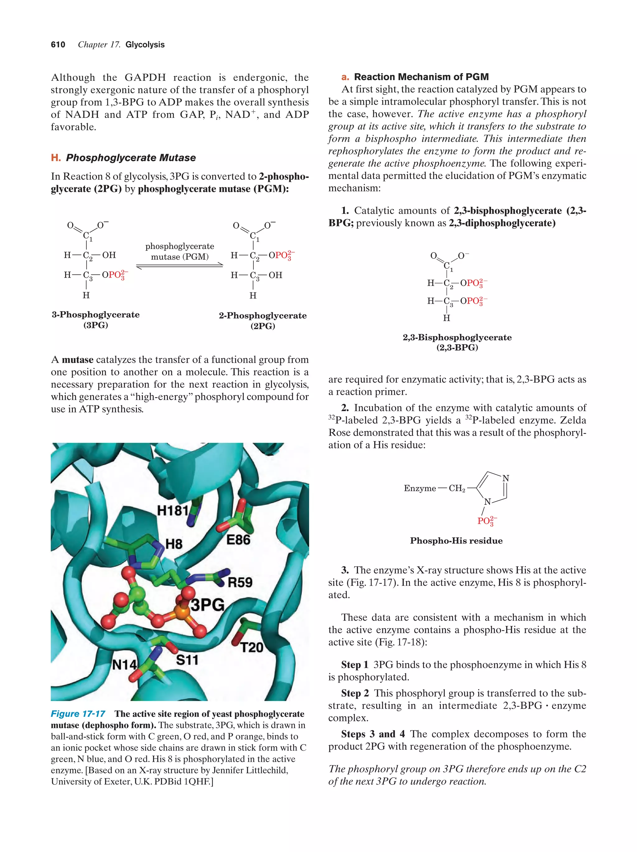 Biochemistry.4th.edition
