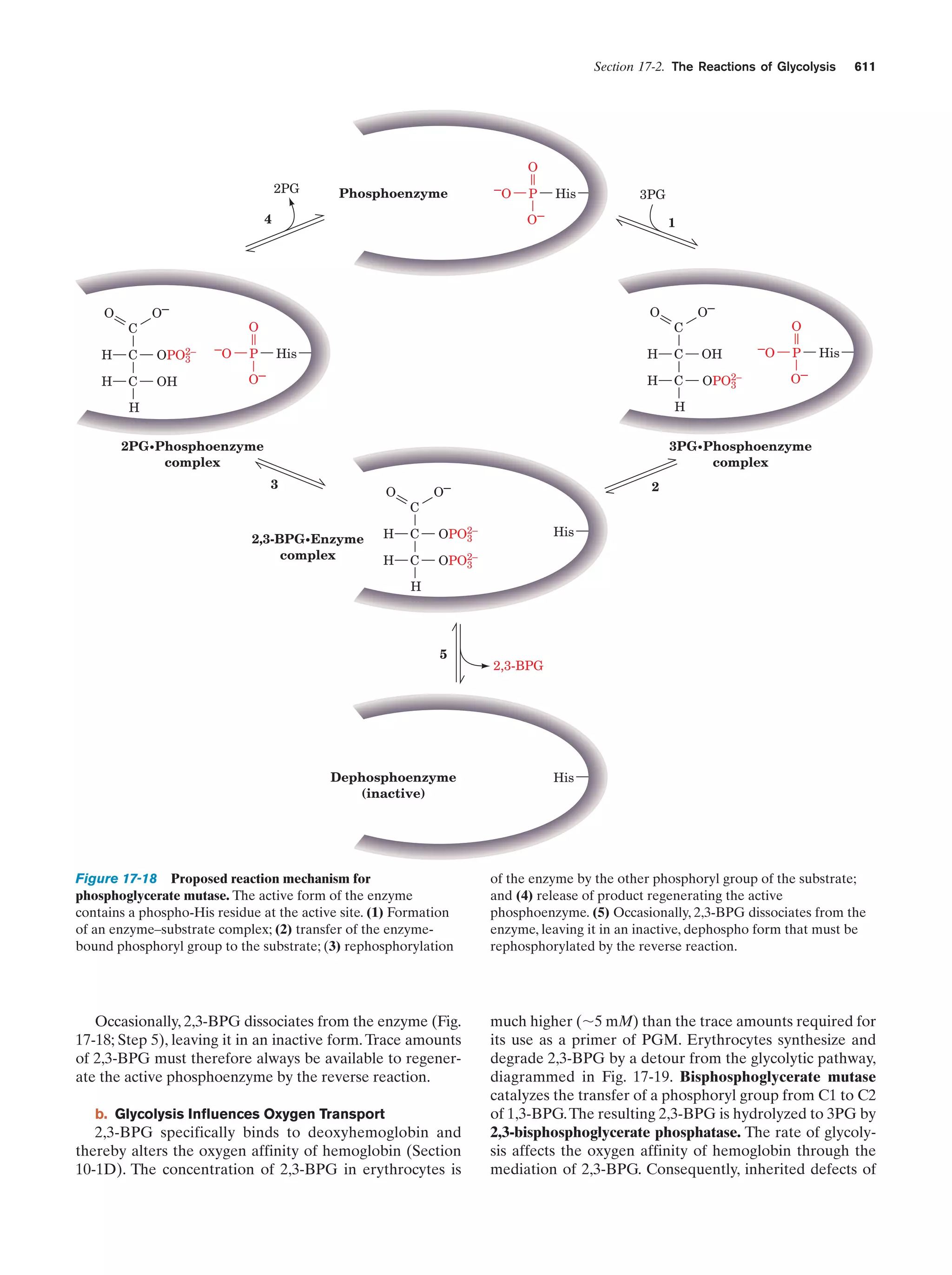 Biochemistry.4th.edition