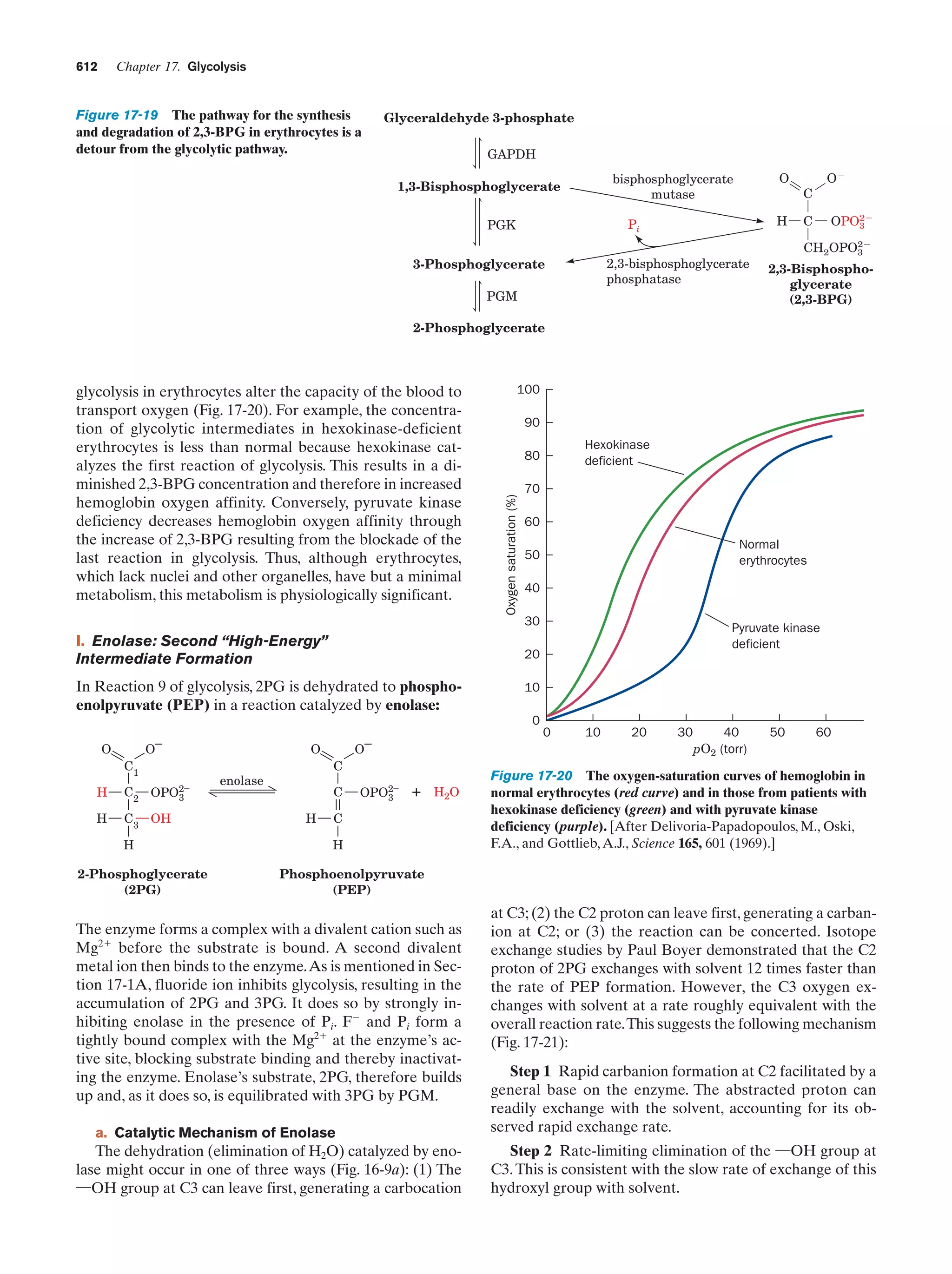 Biochemistry.4th.edition