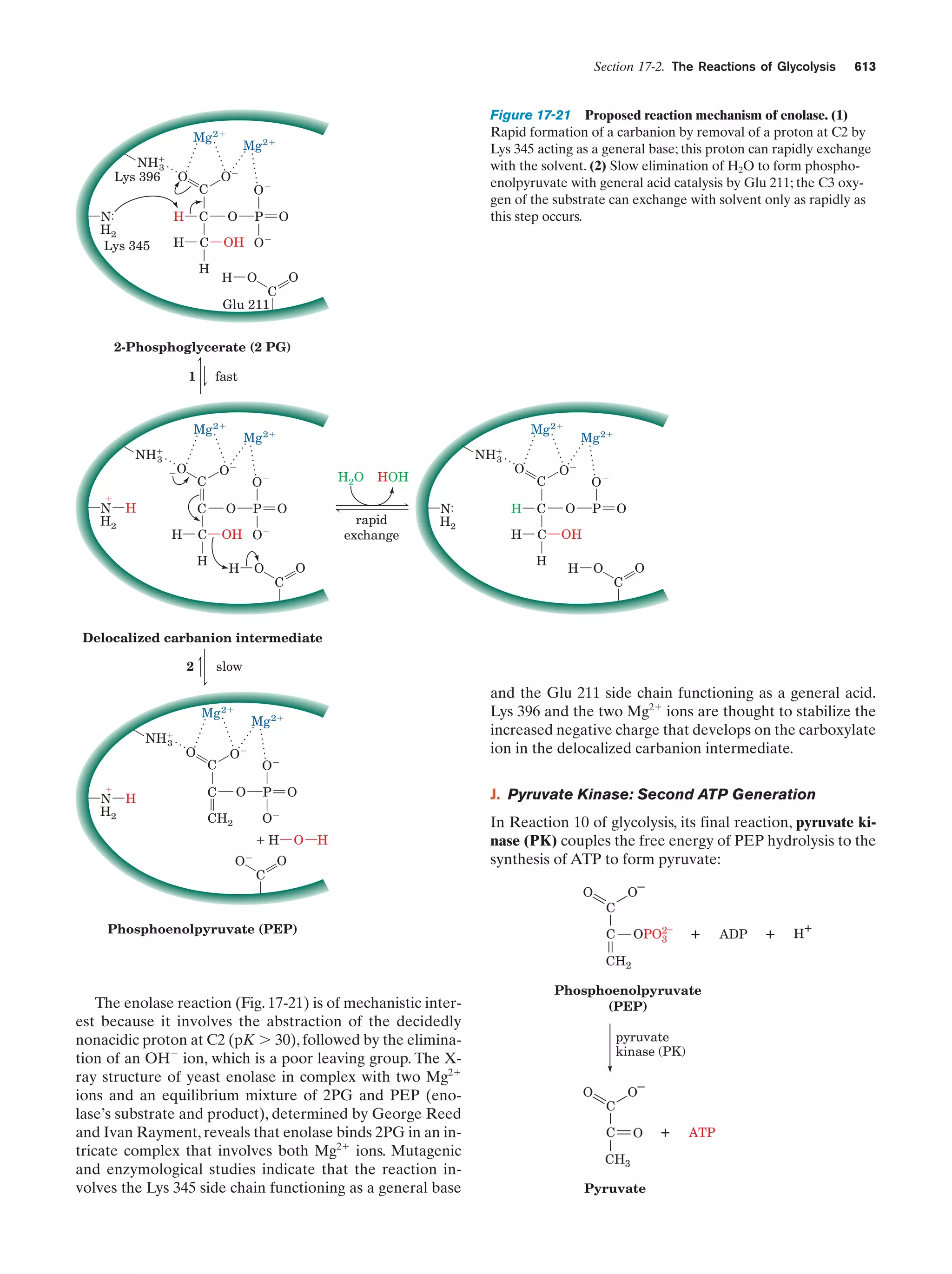 Biochemistry.4th.edition