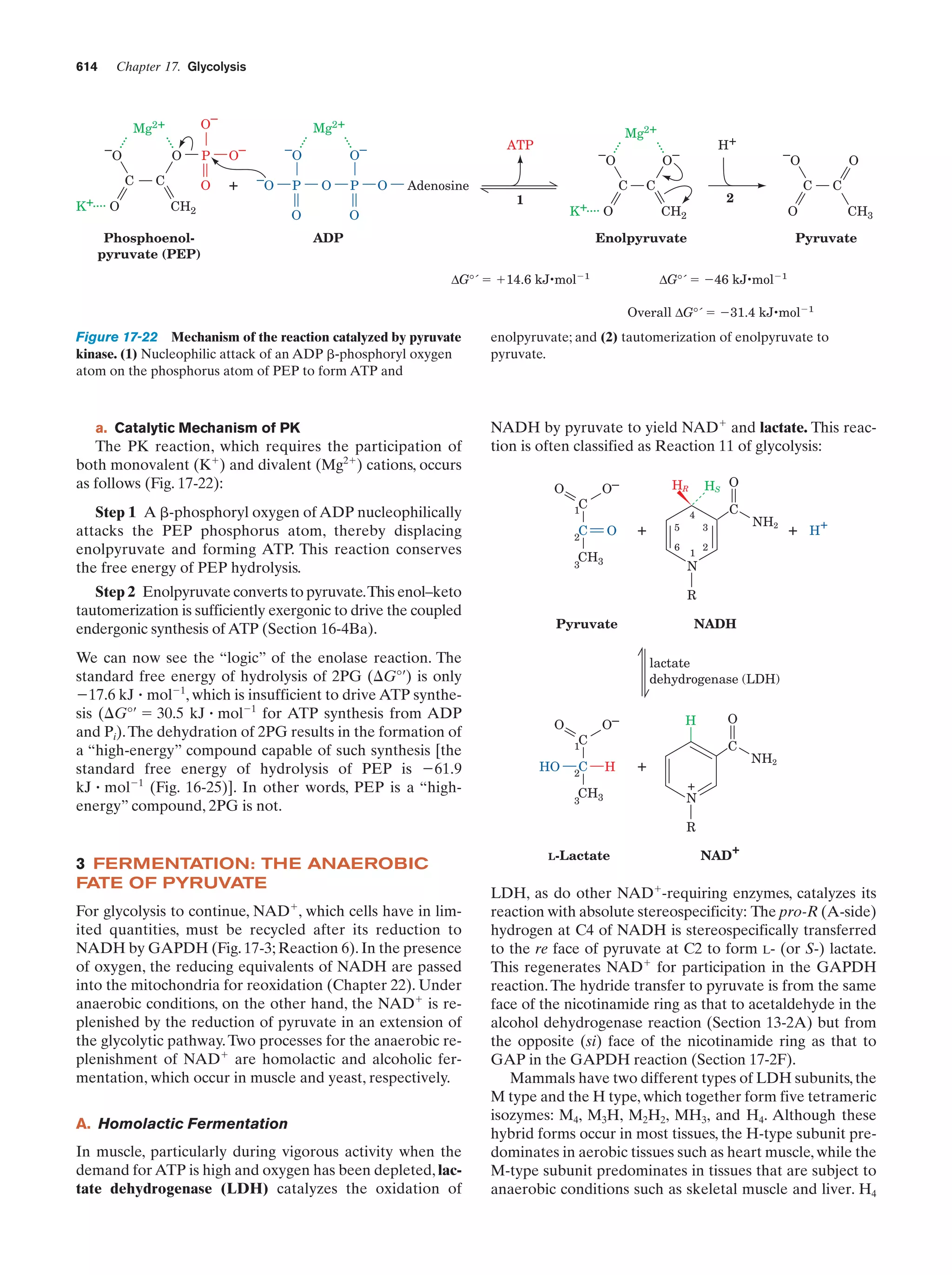 Biochemistry.4th.edition
