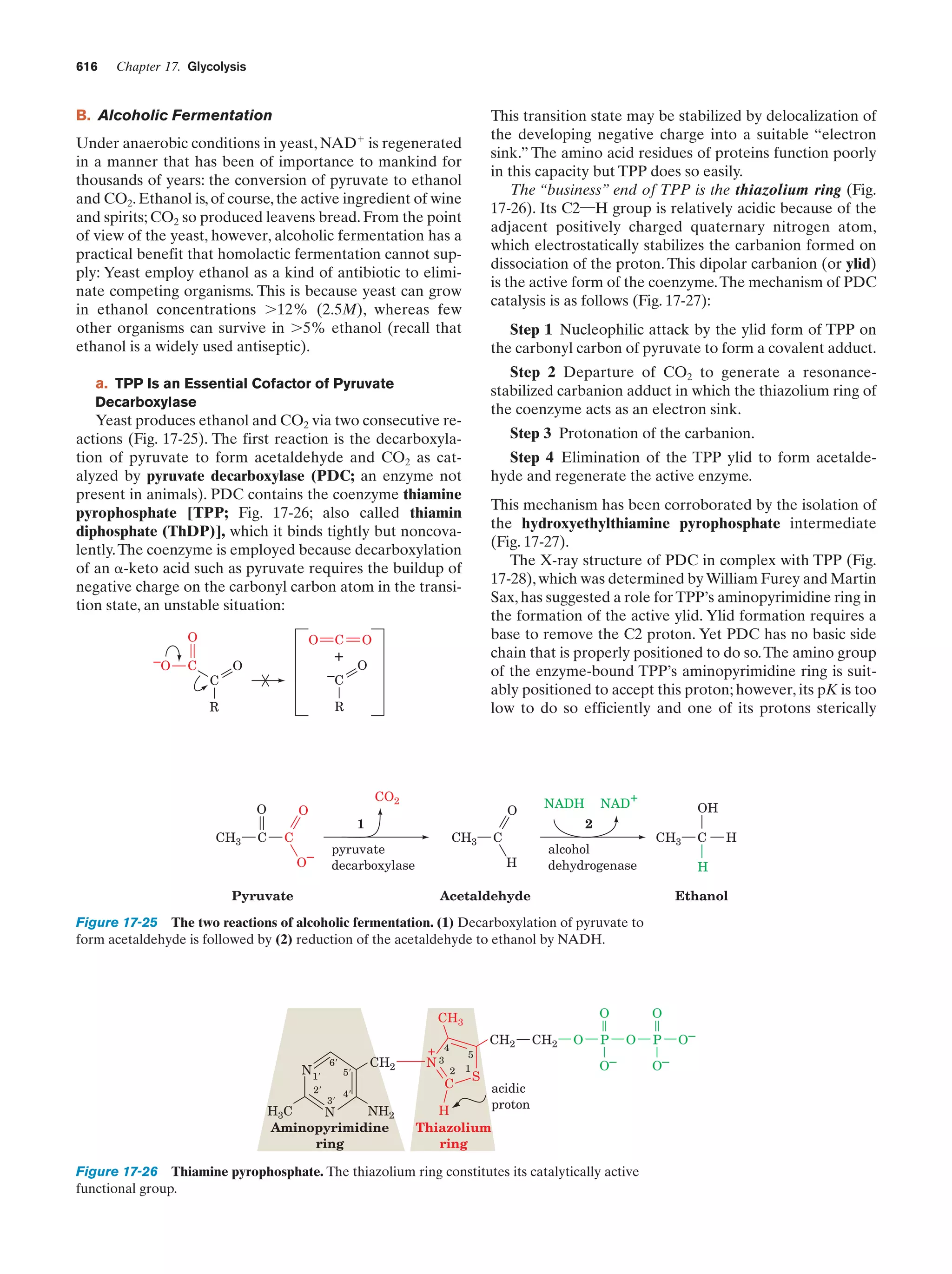 Biochemistry.4th.edition