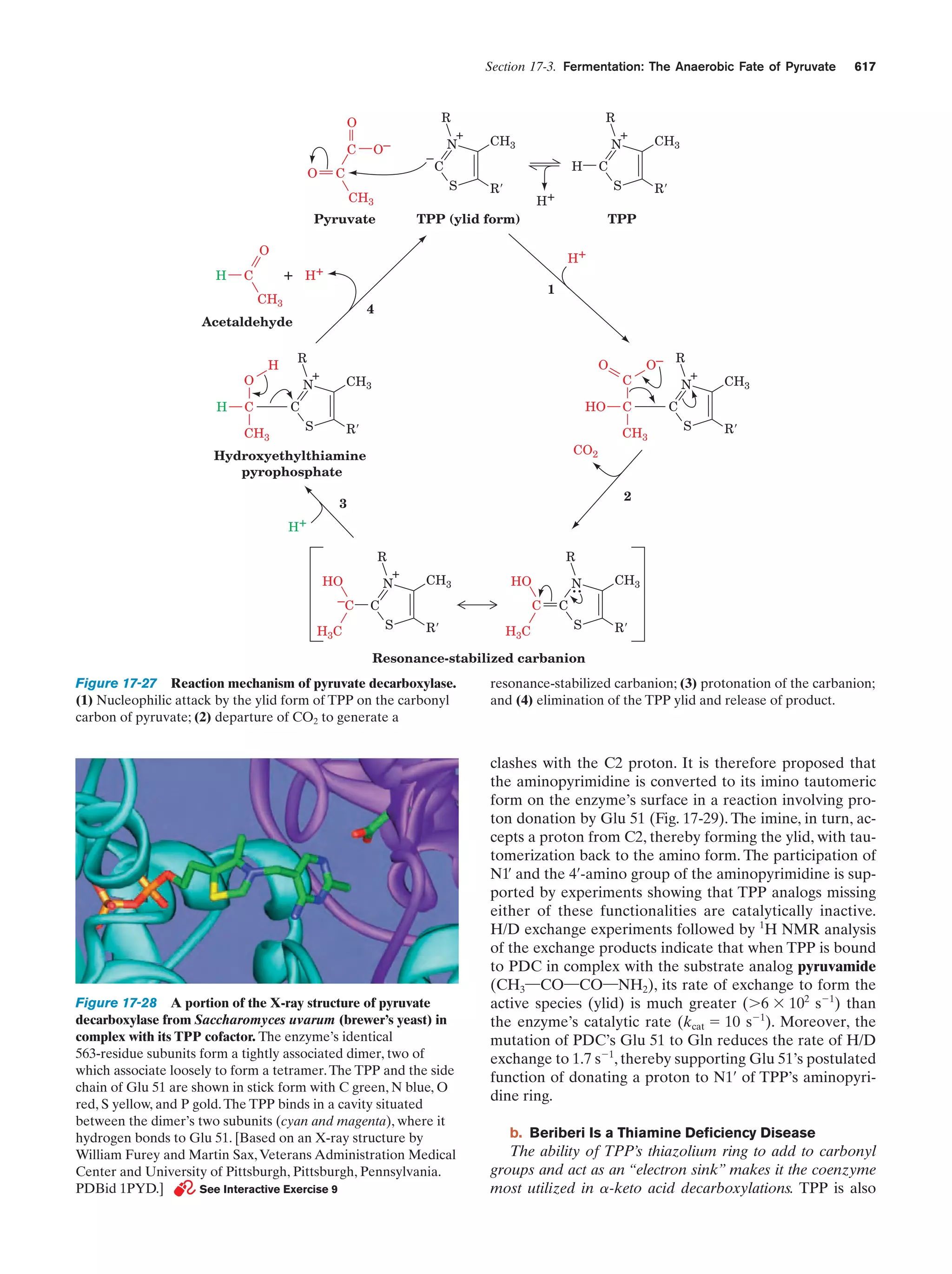 Biochemistry.4th.edition