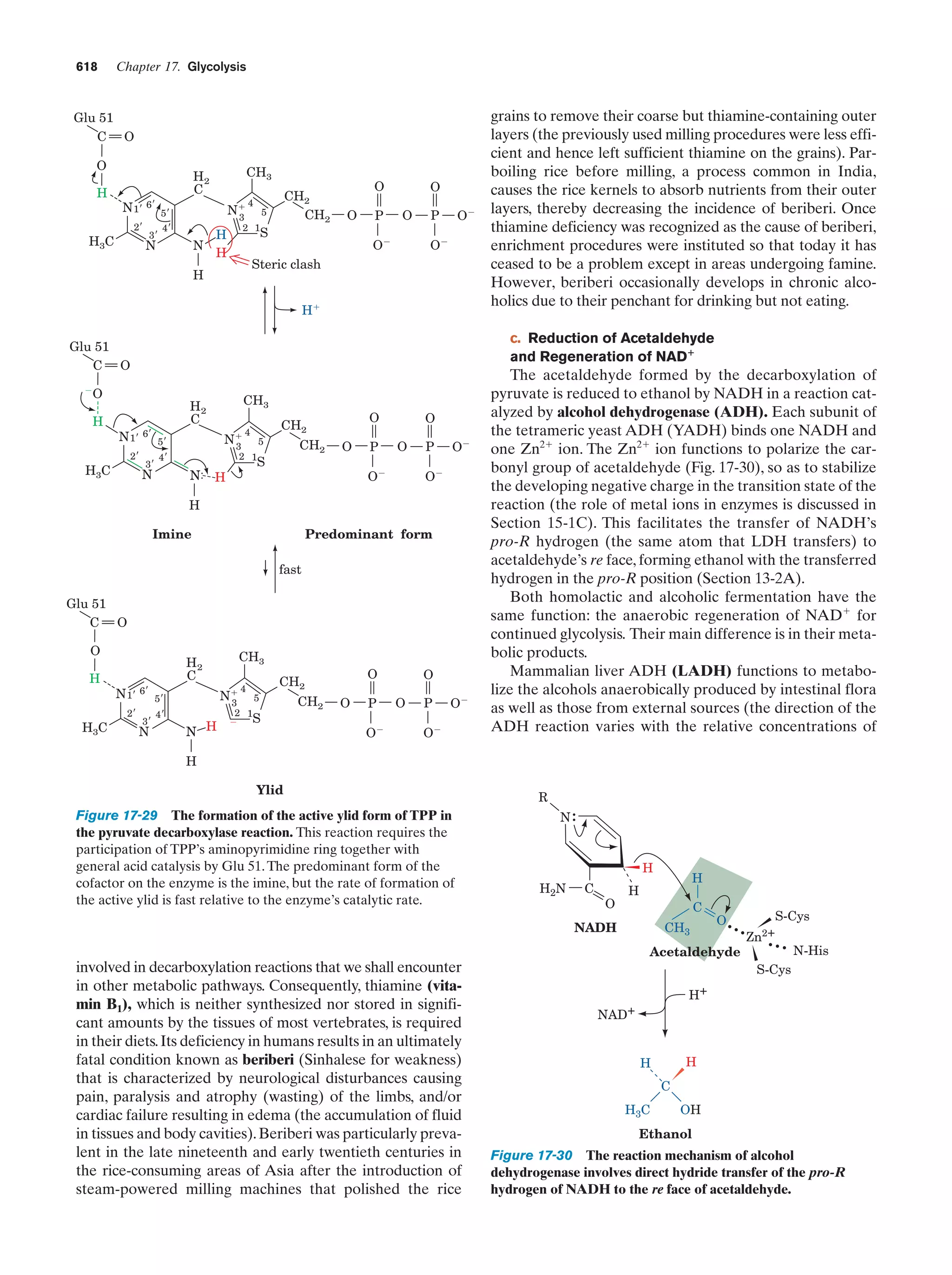 Biochemistry.4th.edition