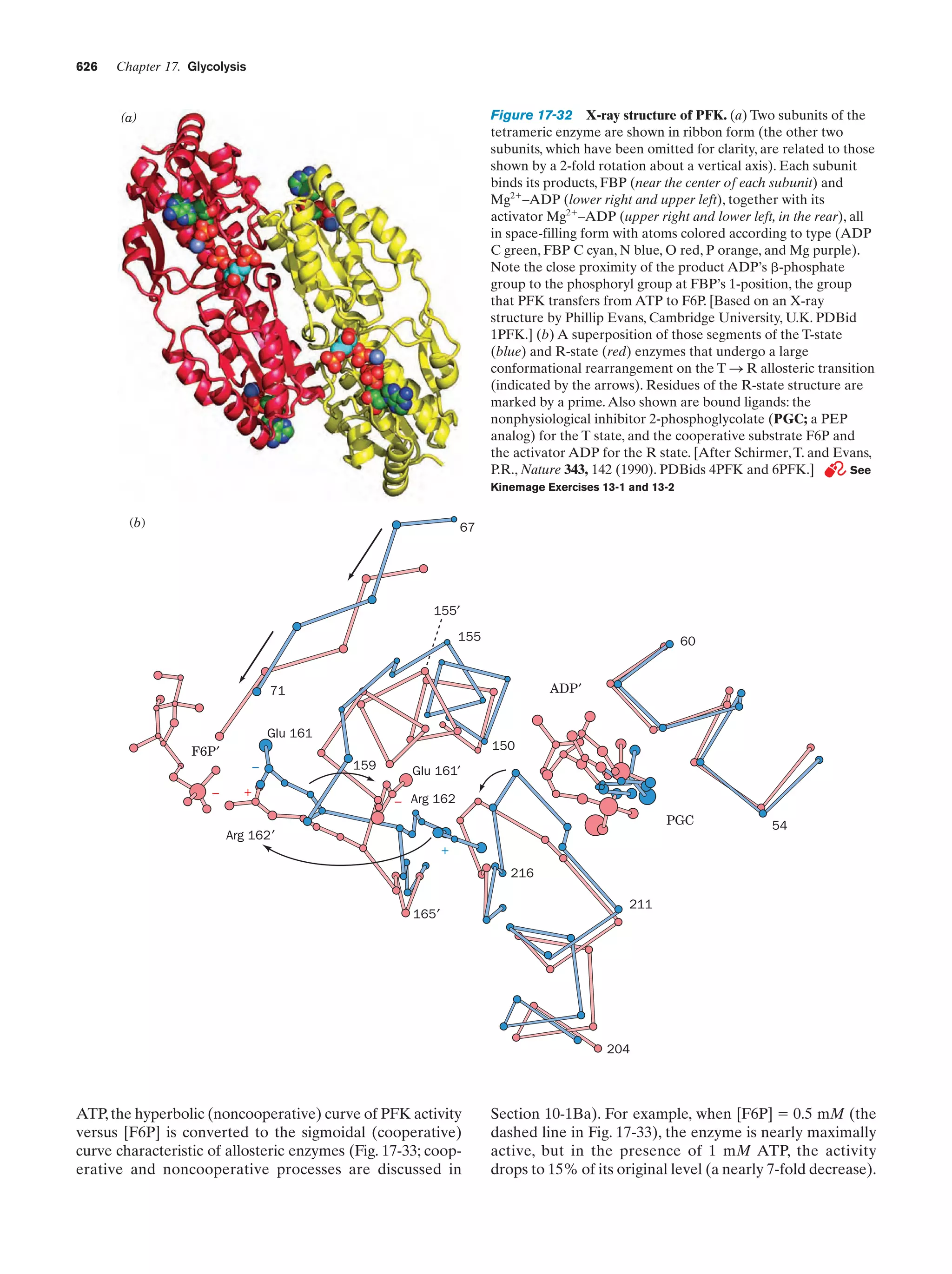 Biochemistry.4th.edition