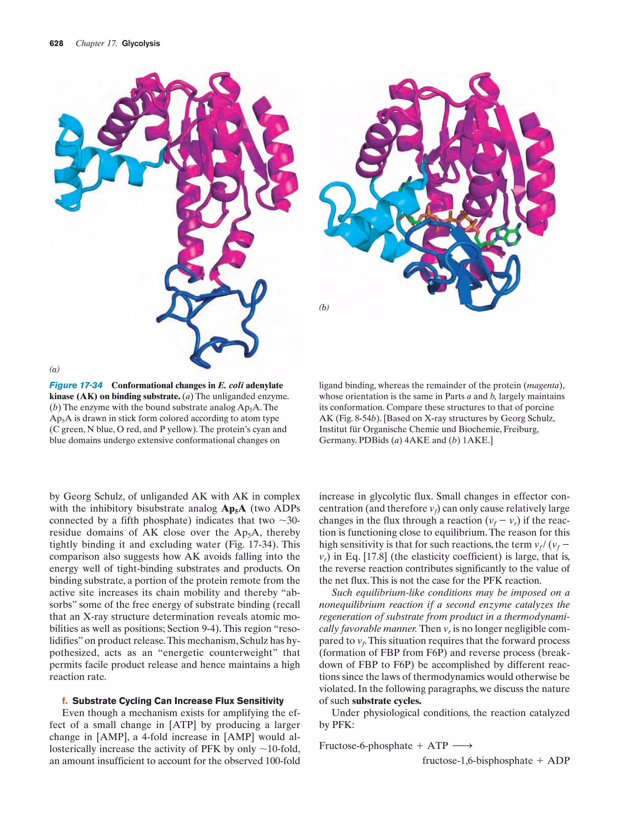 Biochemistry.4th.edition