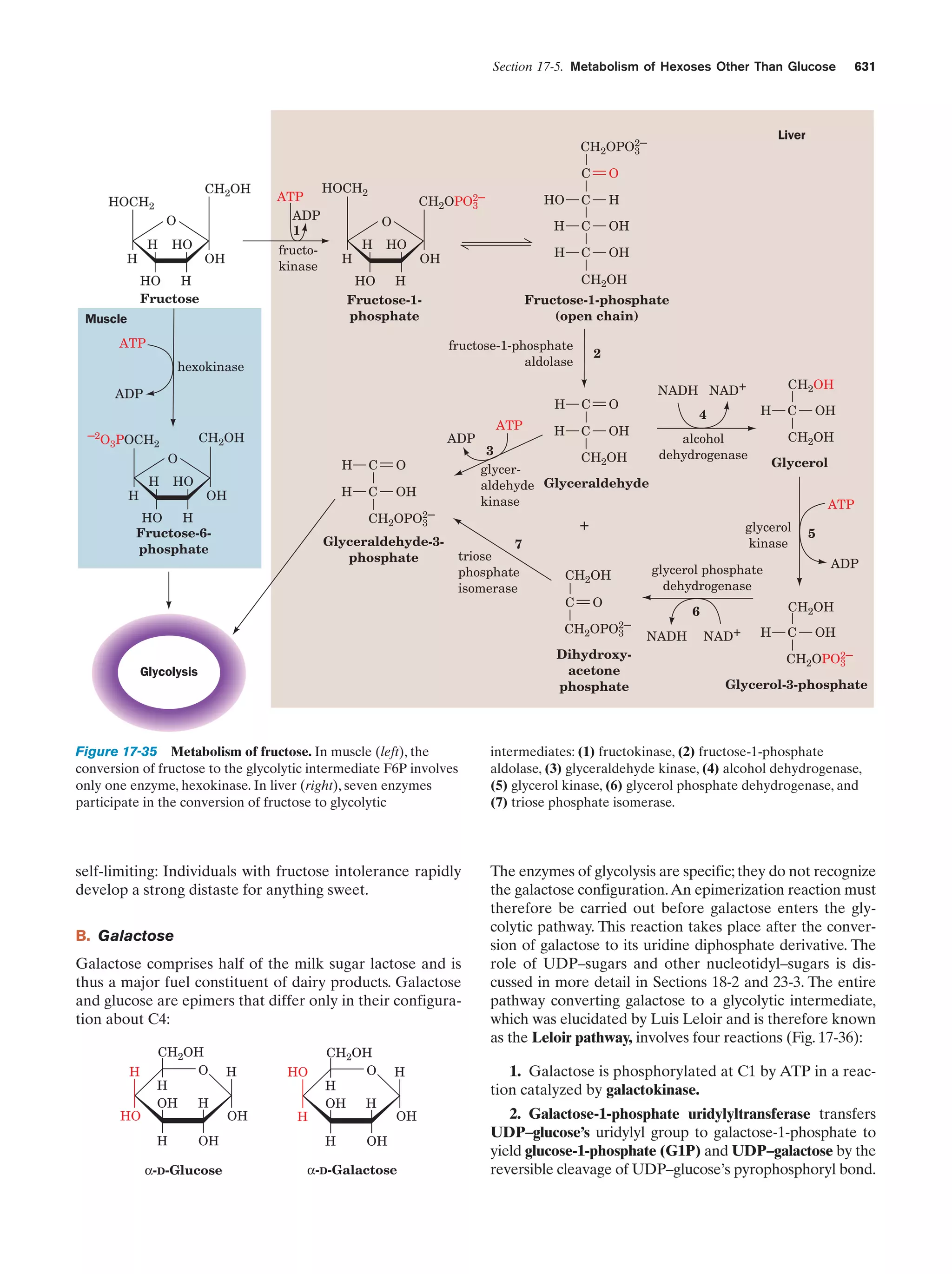 Biochemistry.4th.edition