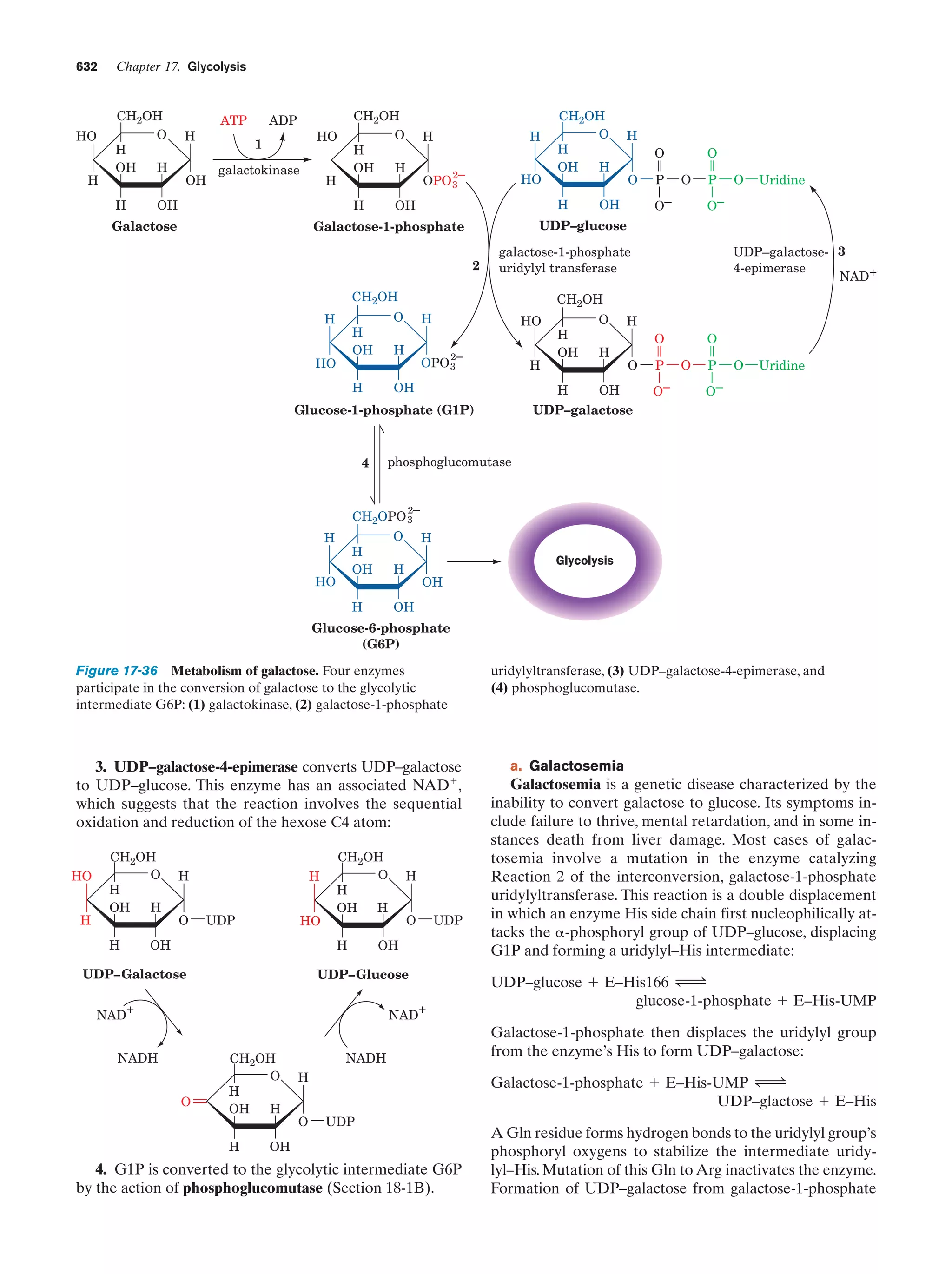 Biochemistry.4th.edition