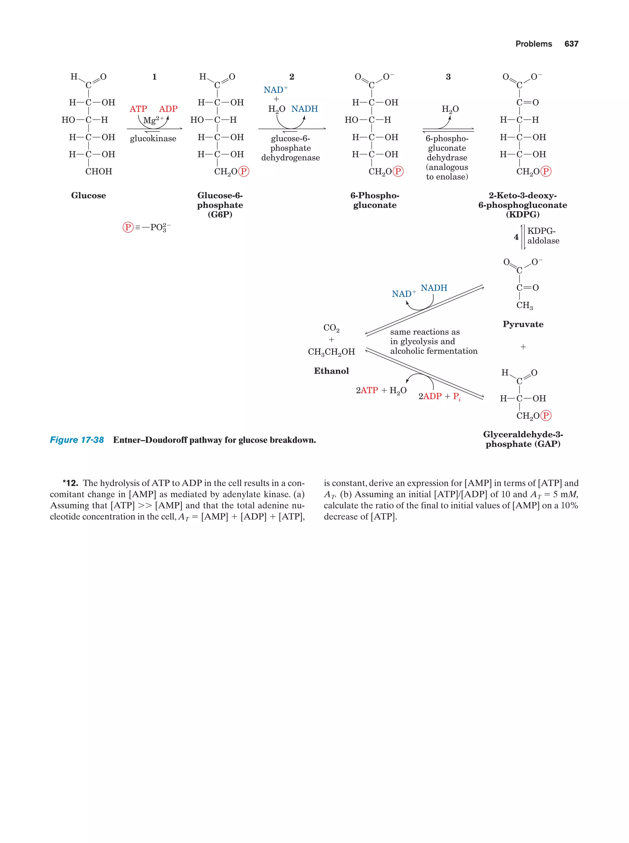 Biochemistry.4th.edition