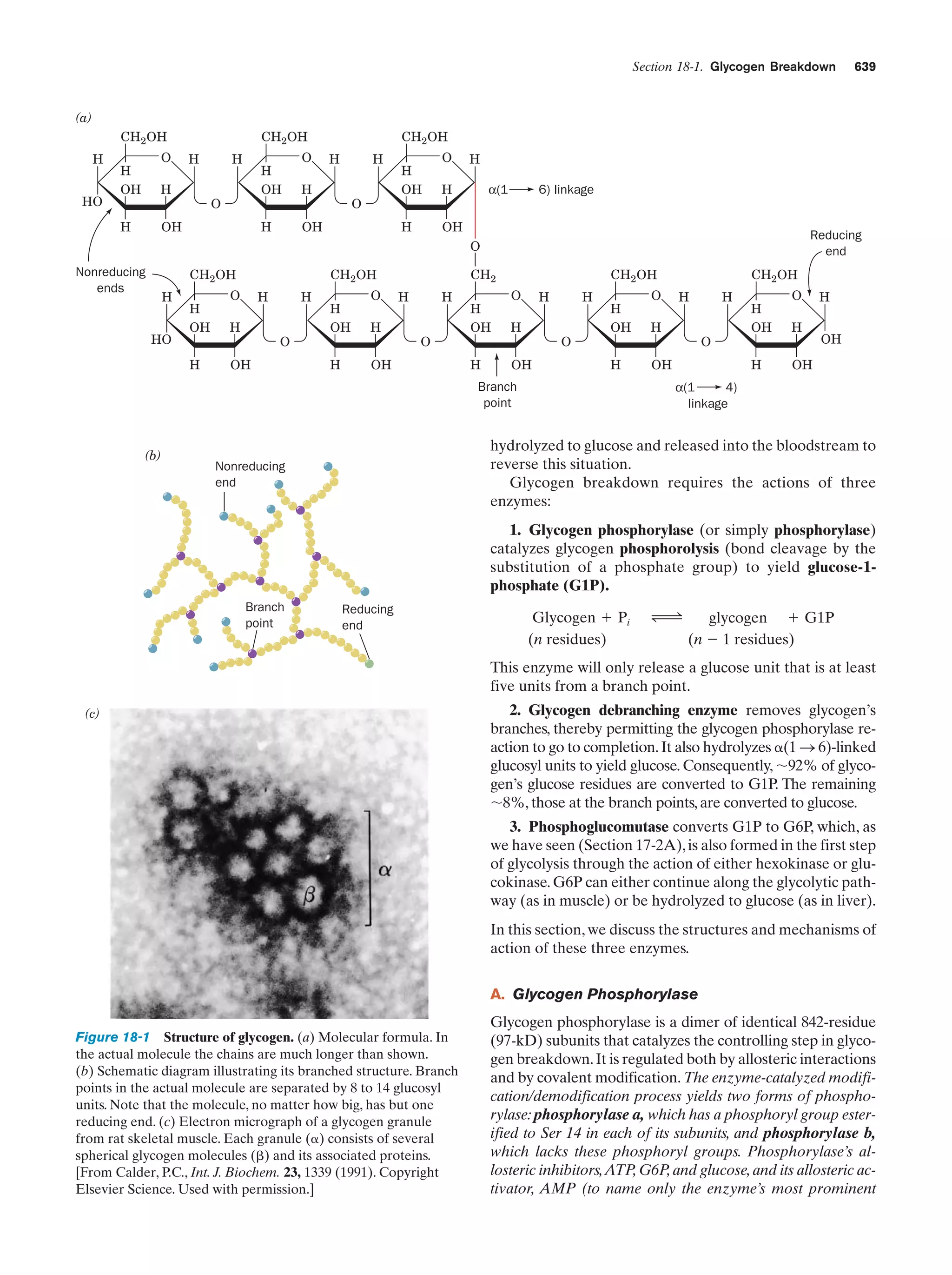 Biochemistry.4th.edition