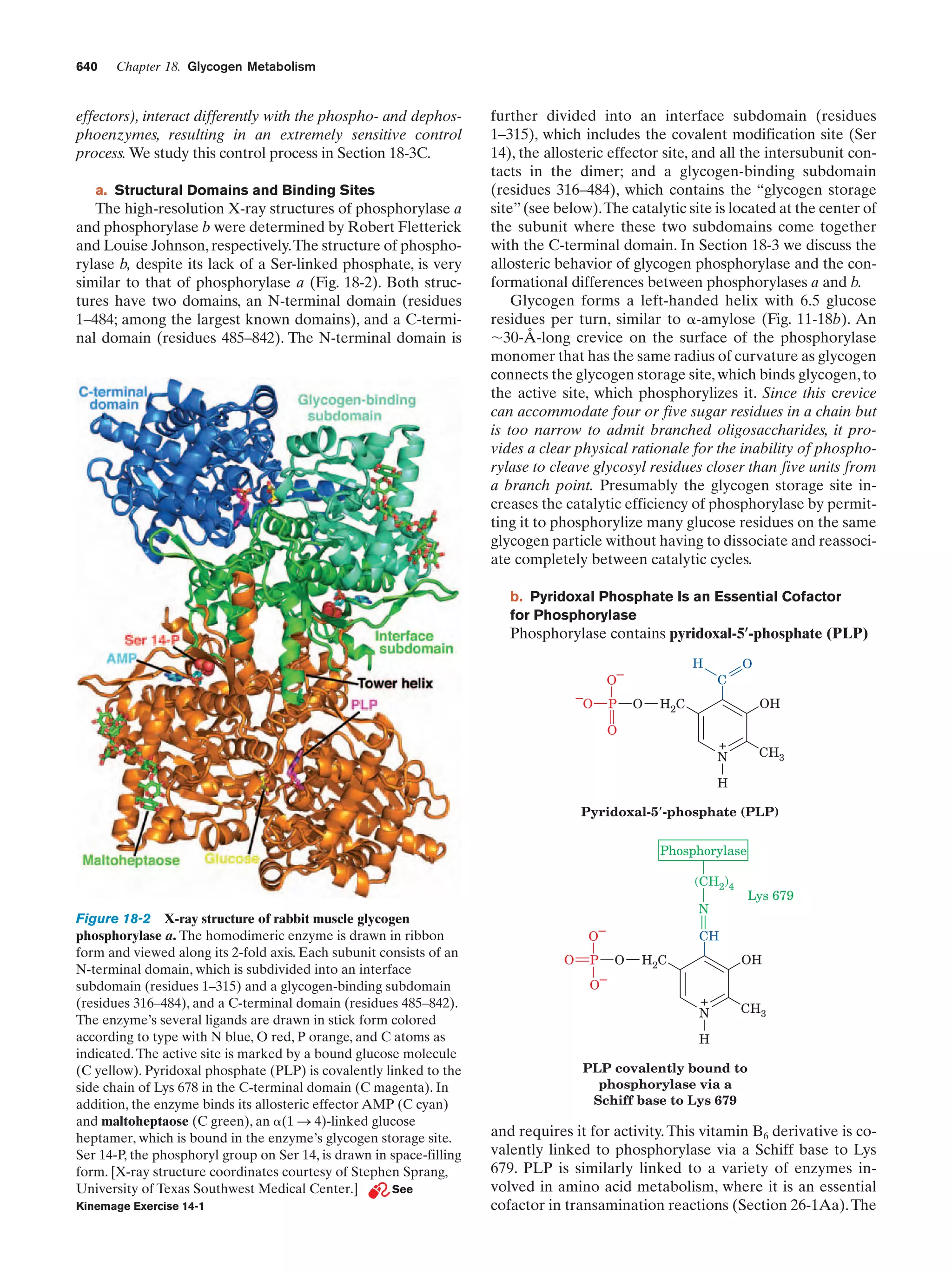 Biochemistry.4th.edition