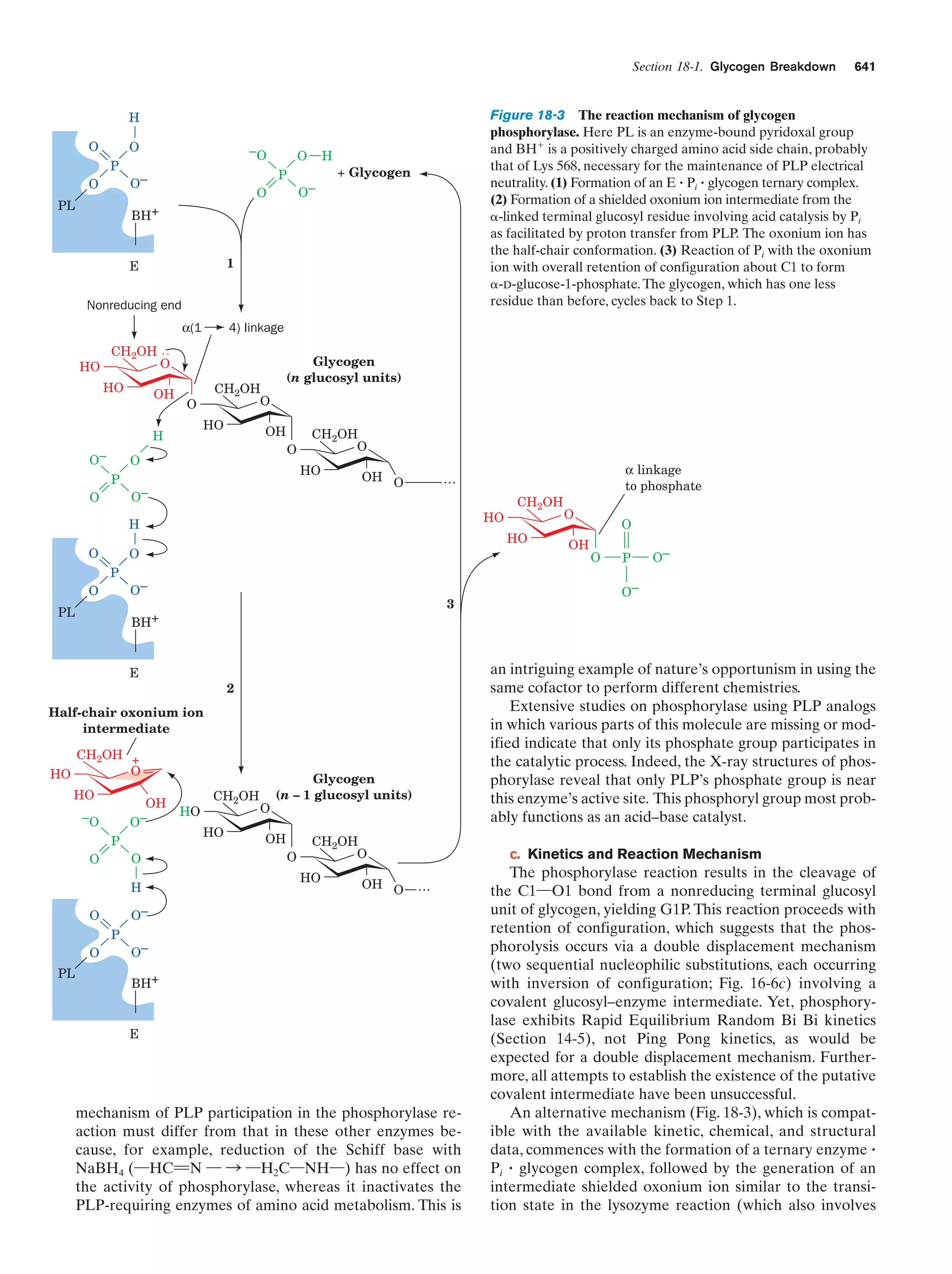 Biochemistry.4th.edition