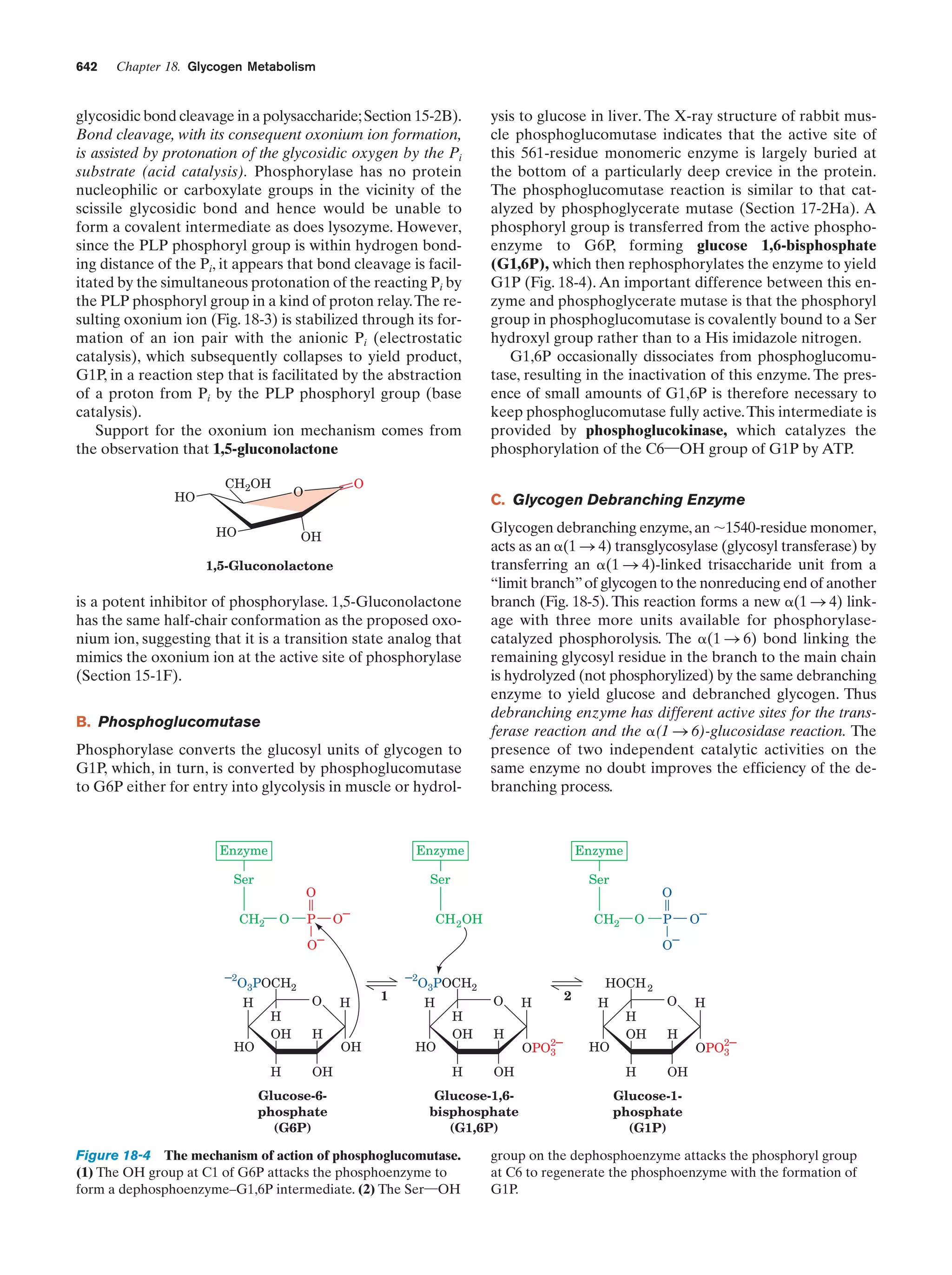 Biochemistry.4th.edition