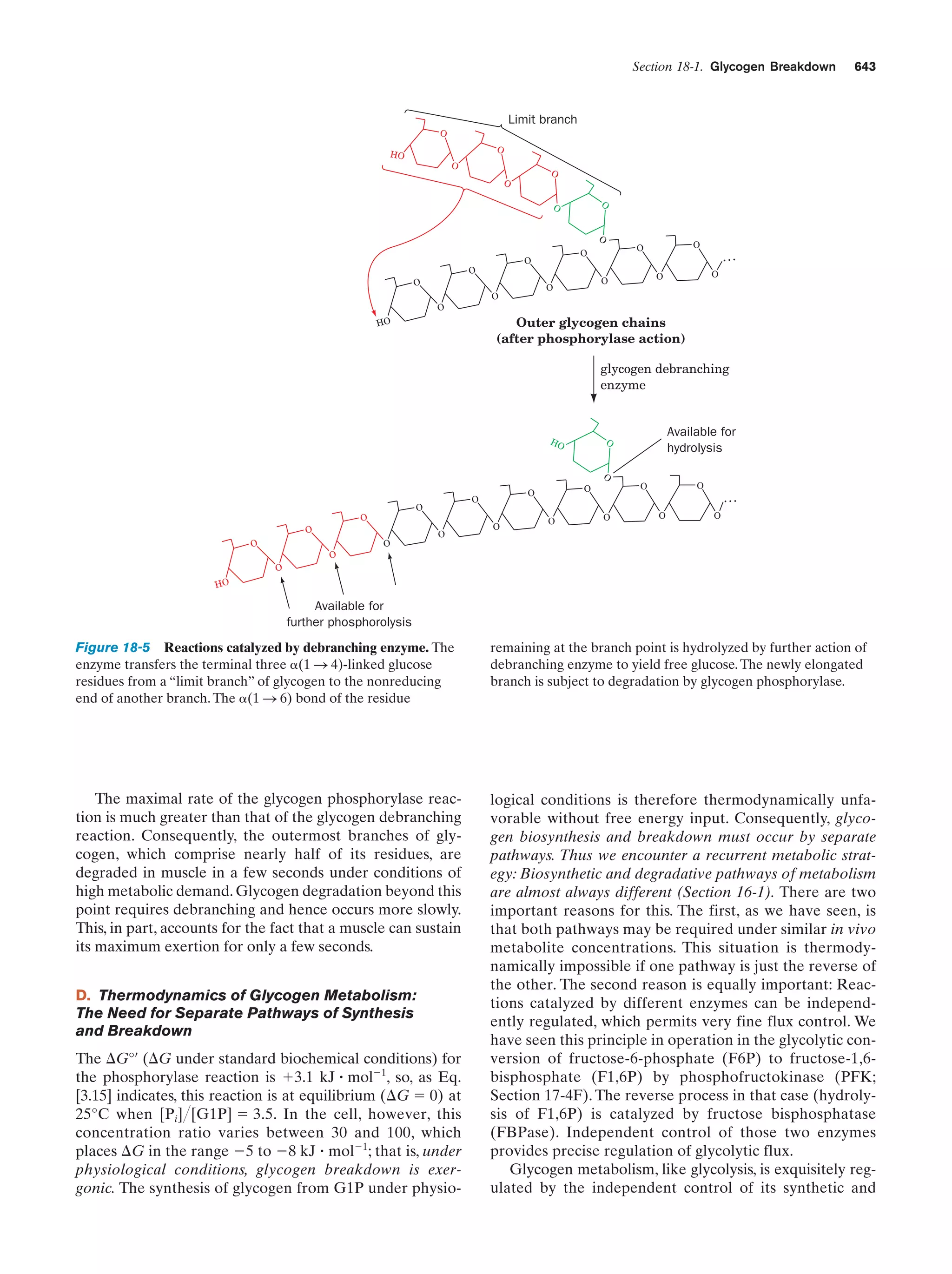 Biochemistry.4th.edition