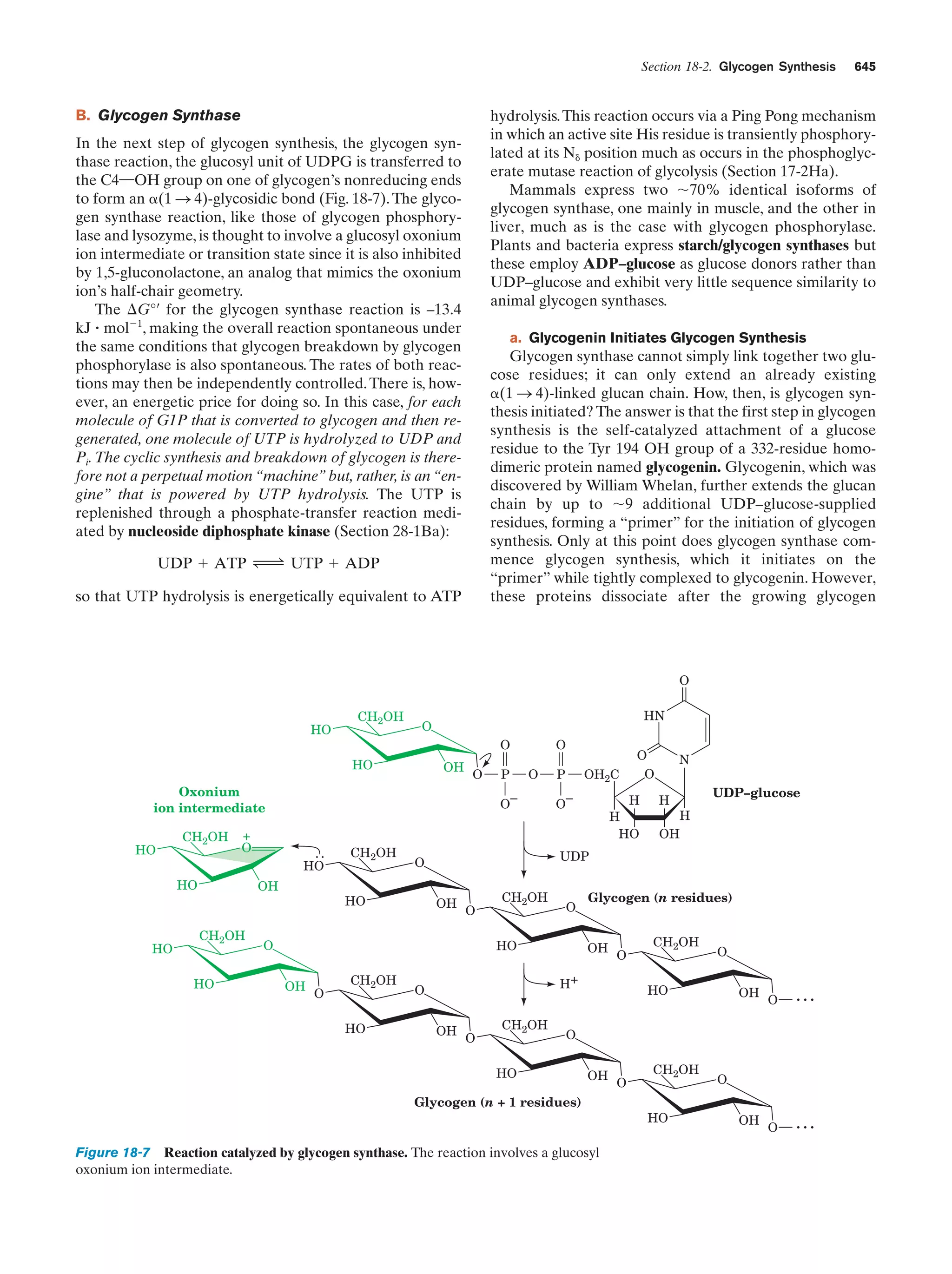Biochemistry.4th.edition