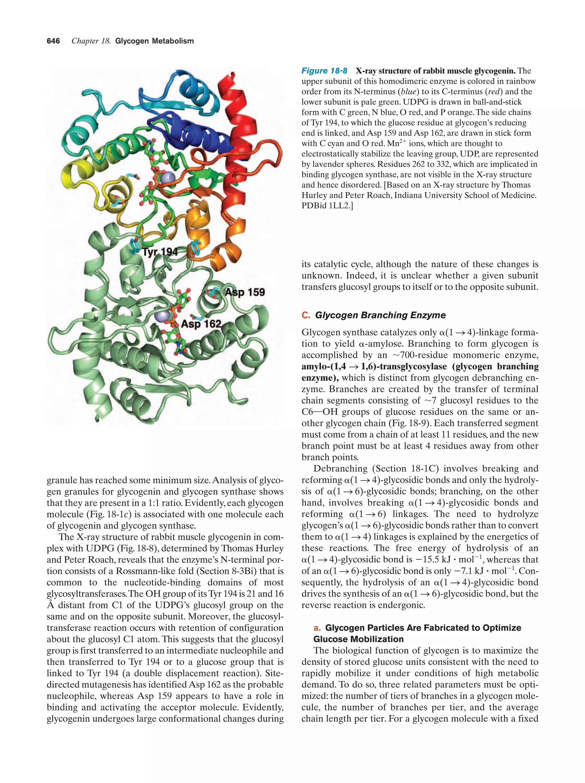 Biochemistry.4th.edition