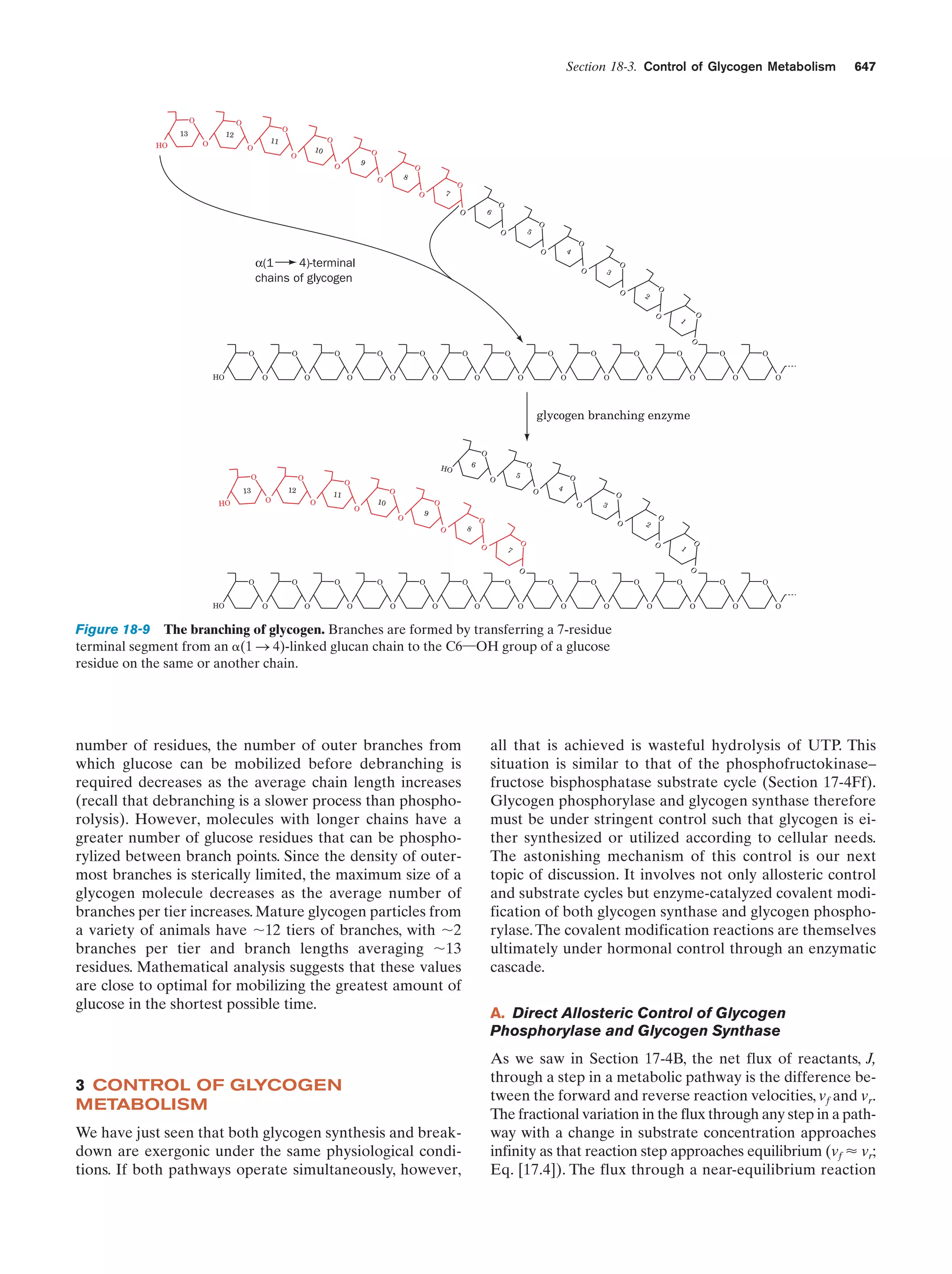 Biochemistry.4th.edition