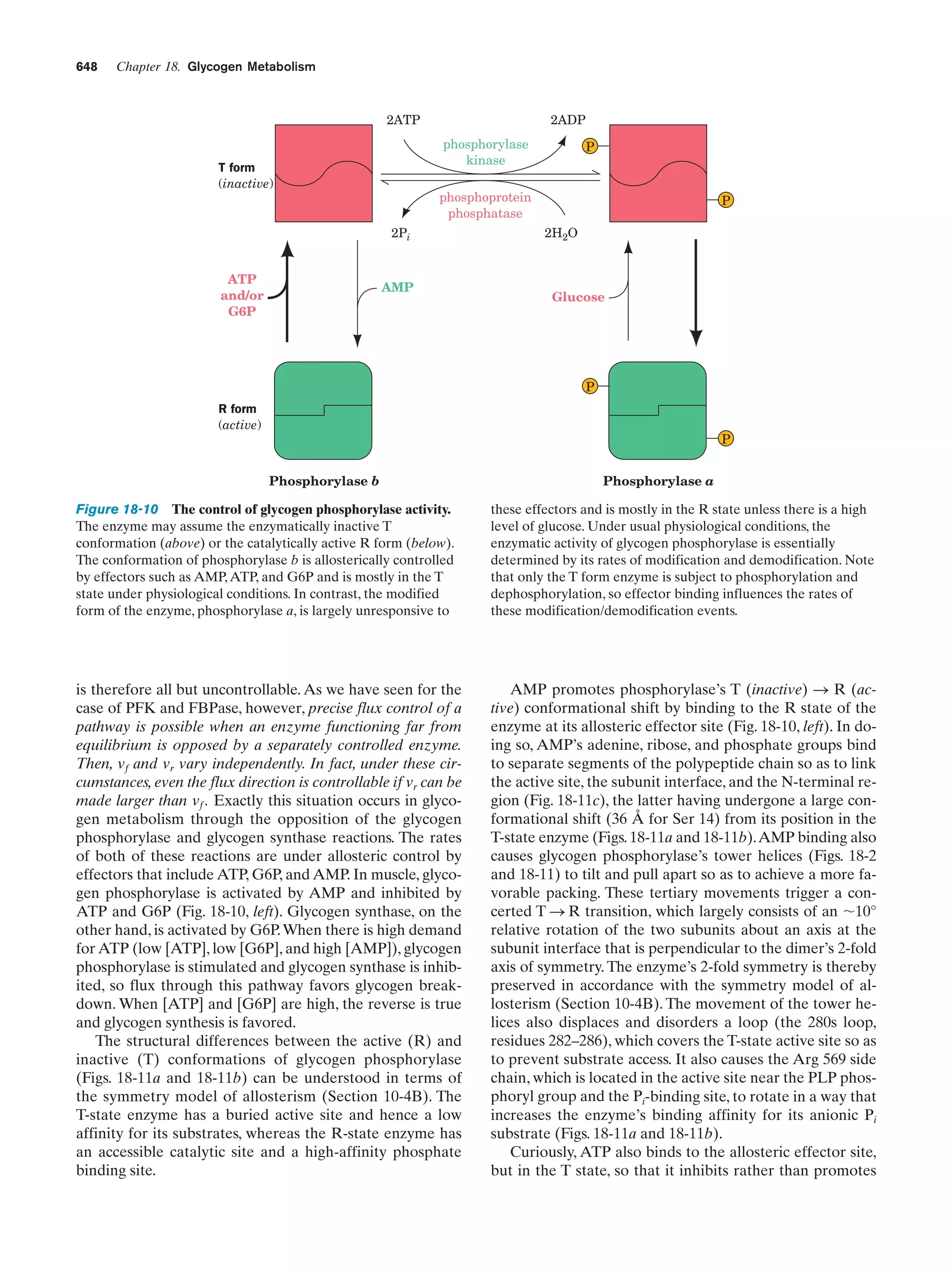 Biochemistry.4th.edition