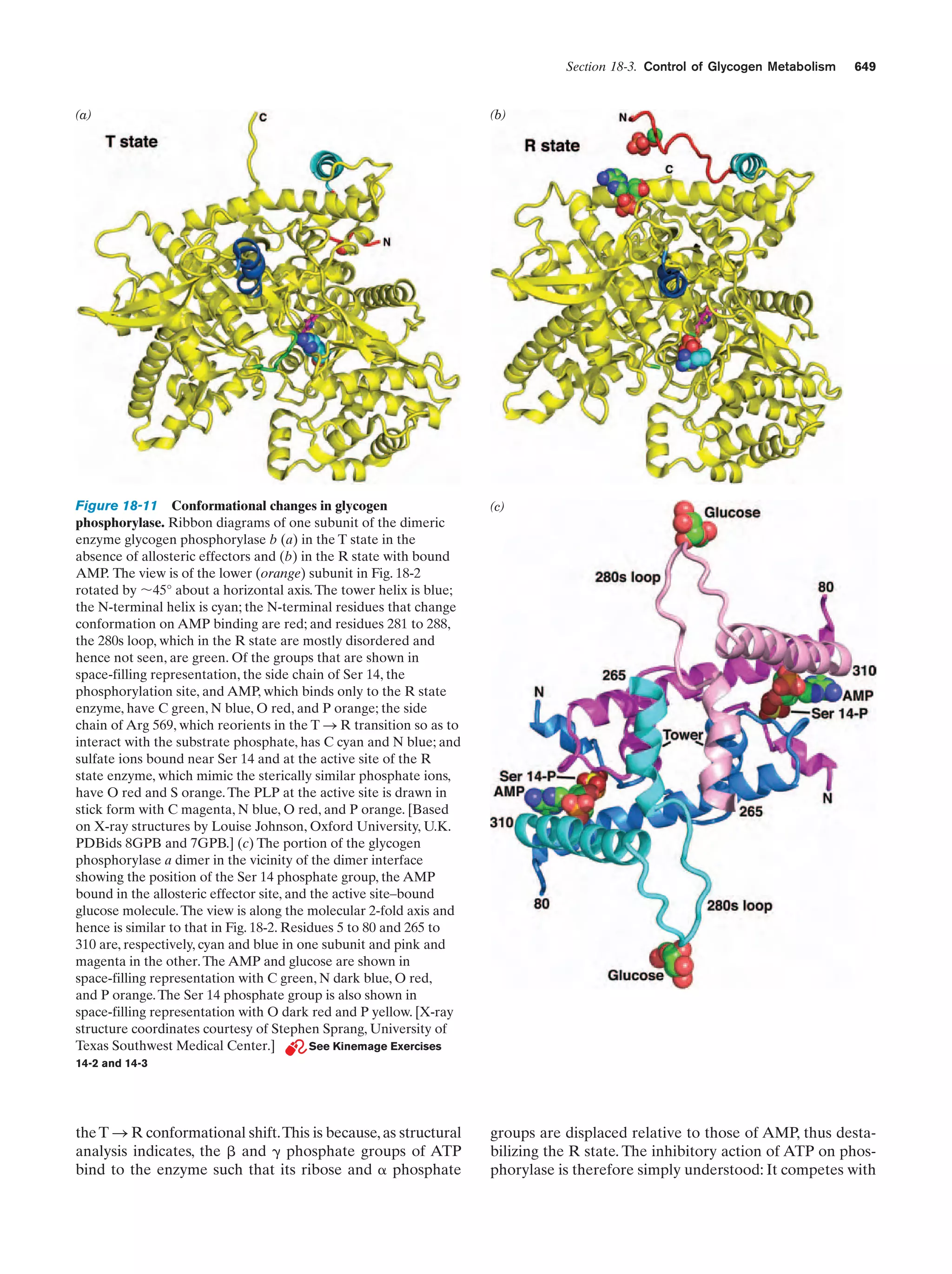Biochemistry.4th.edition