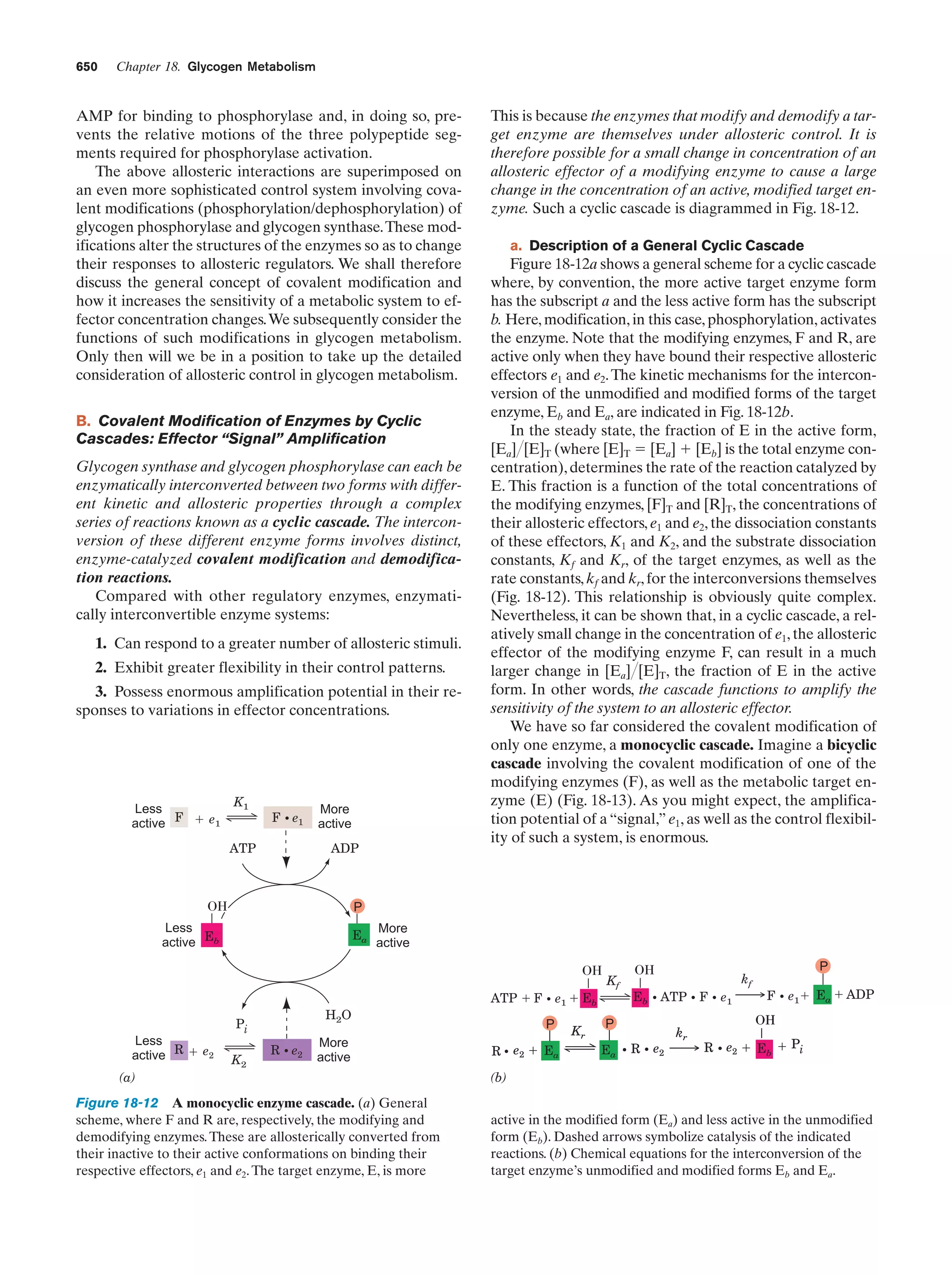 Biochemistry.4th.edition