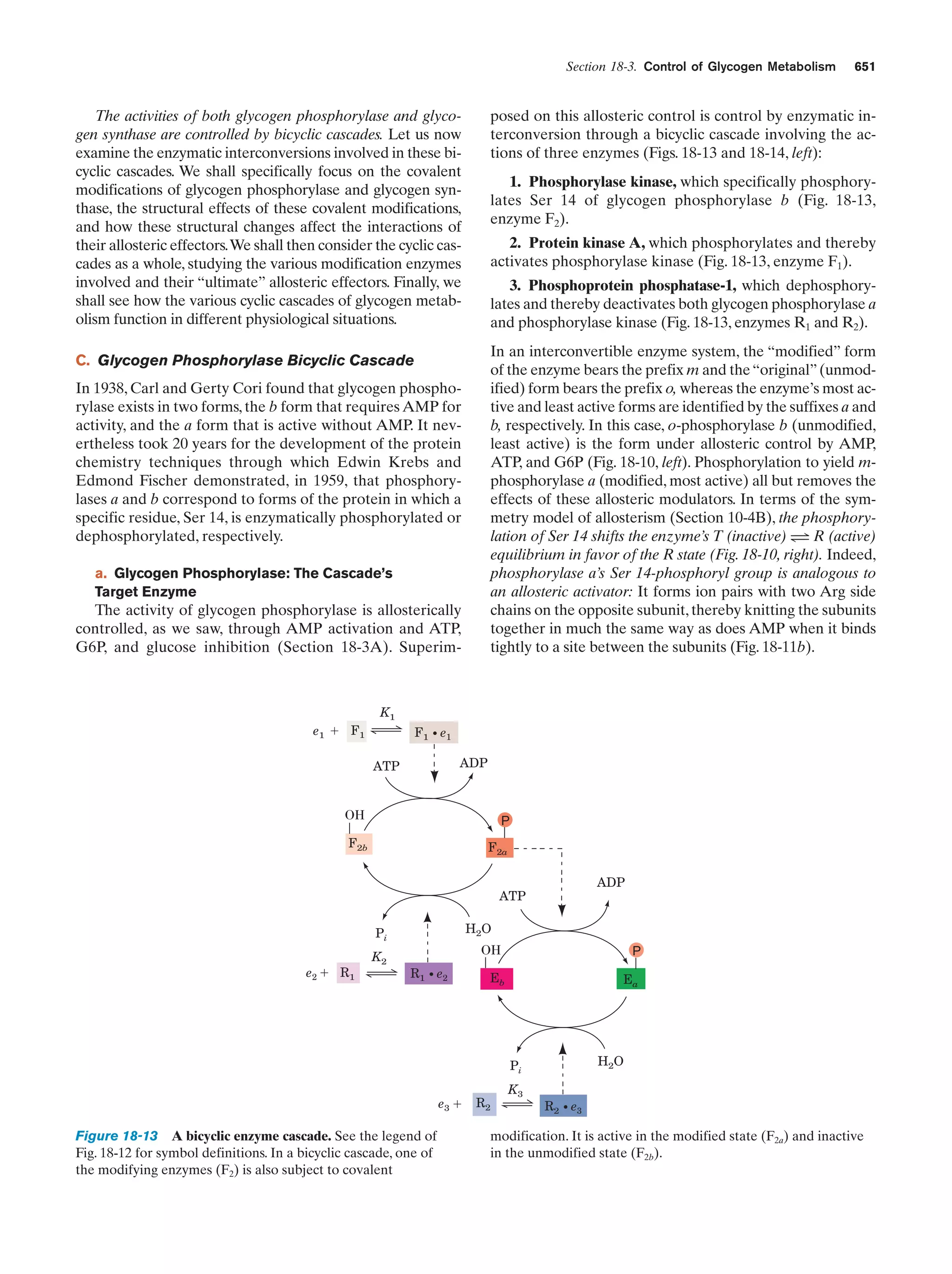 Biochemistry.4th.edition