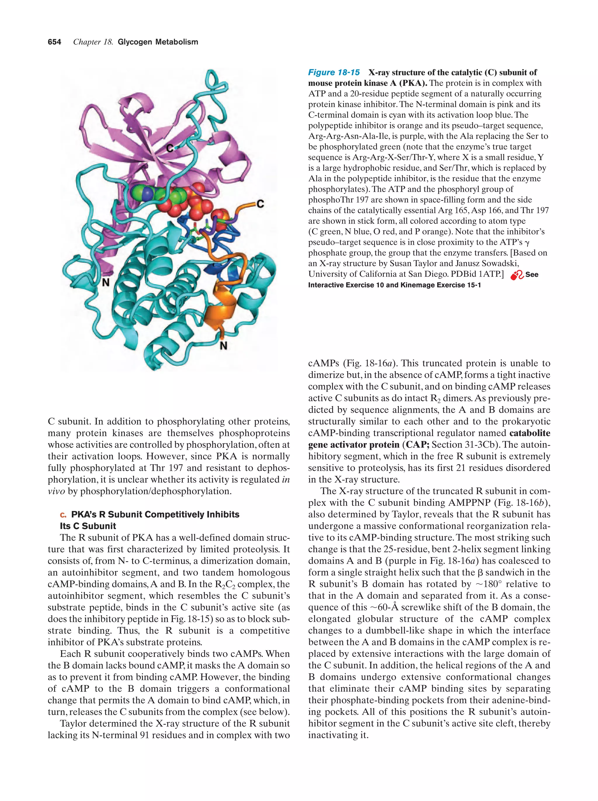Biochemistry.4th.edition