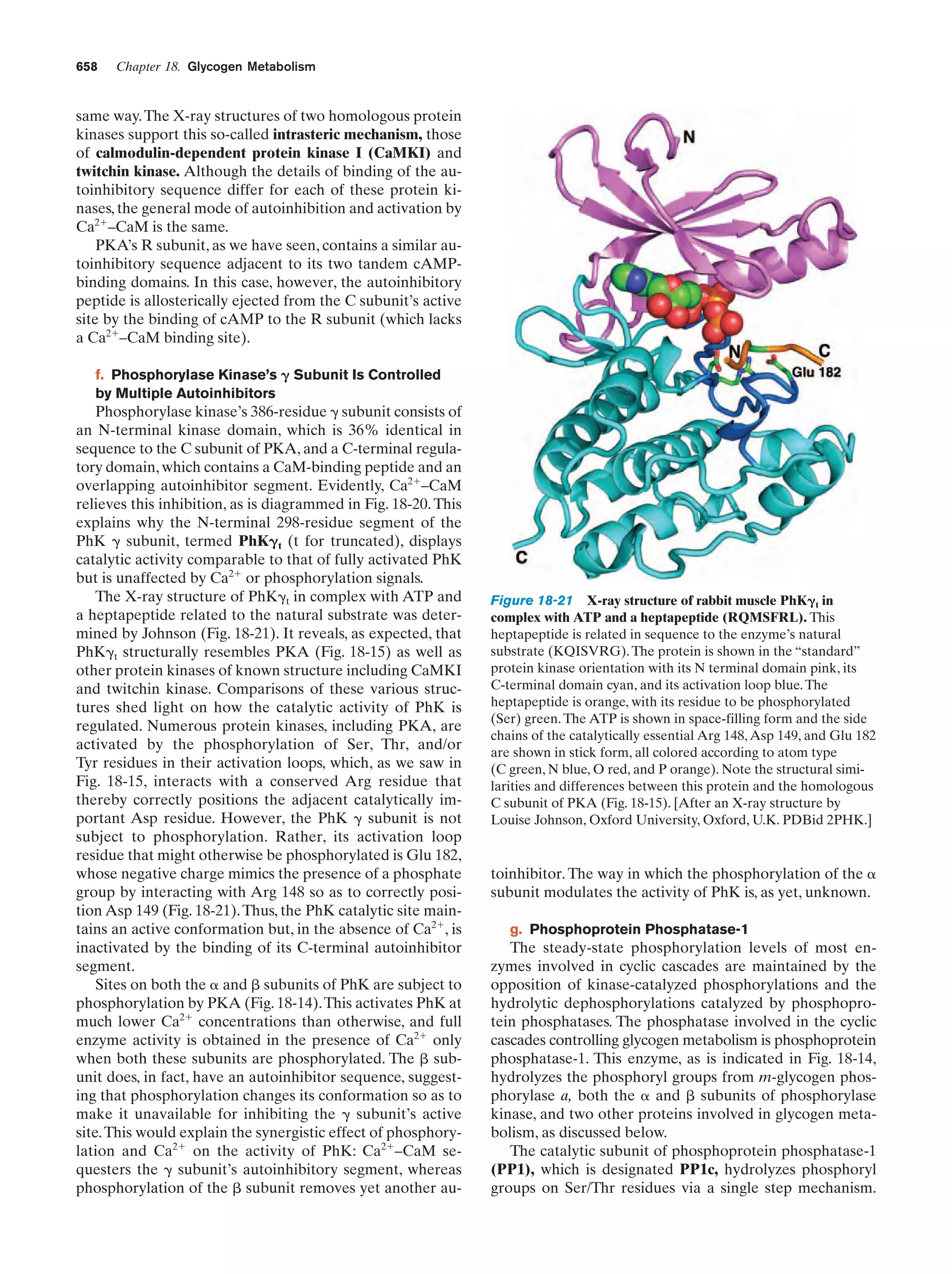 Biochemistry.4th.edition