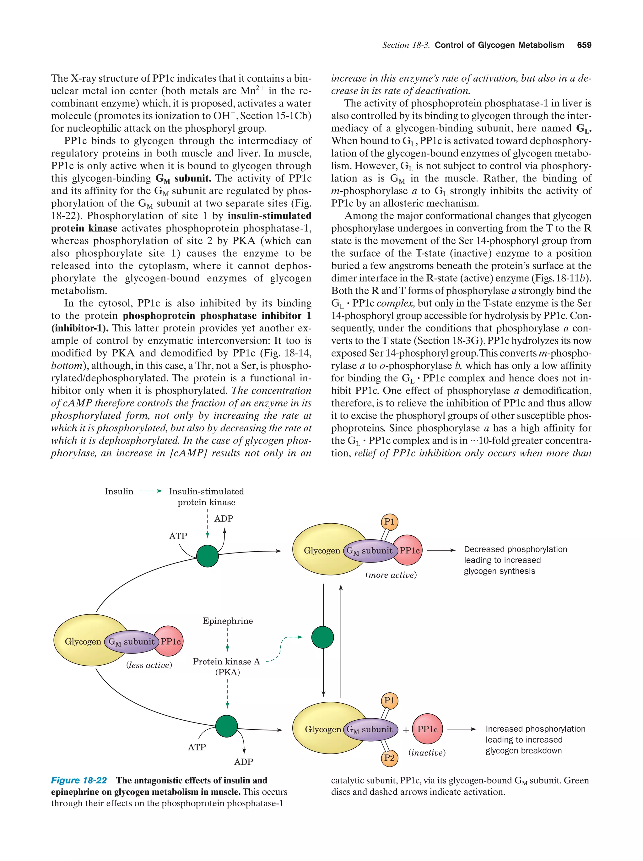 Biochemistry.4th.edition