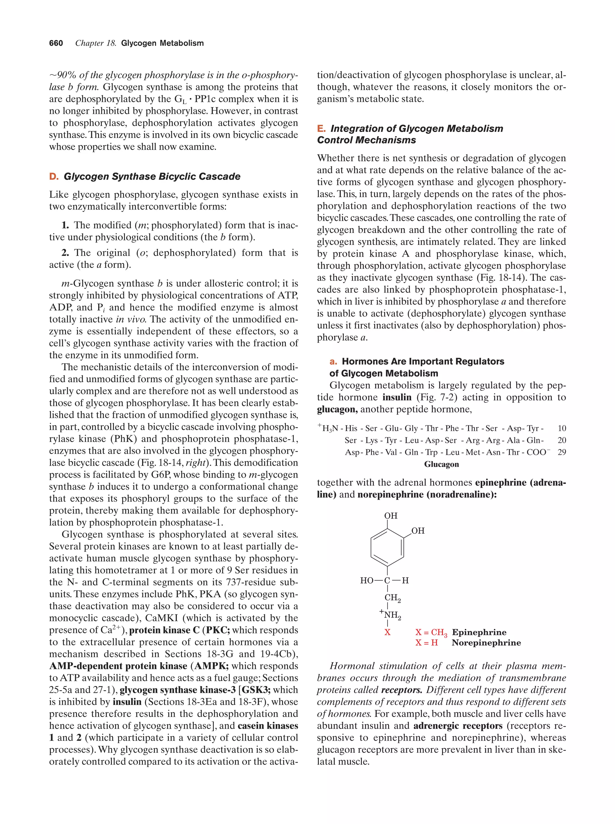 Biochemistry.4th.edition