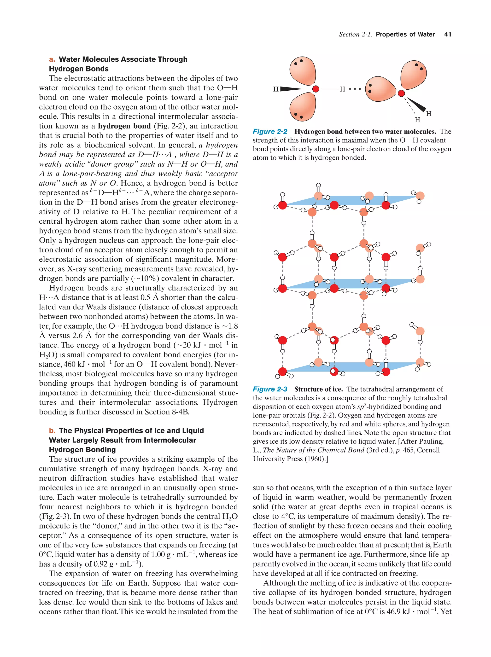 Section 2-1. Properties of Water

41

a. Water Molecules Associate Through
Hydrogen Bonds

The electrostatic attractions between the dipoles of two
water molecules tend to orient them such that the O¬H
bond on one water molecule points toward a lone-pair
electron cloud on the oxygen atom of the other water molecule. This results in a directional intermolecular association known as a hydrogen bond (Fig. 2-2), an interaction
that is crucial both to the properties of water itself and to
its role as a biochemical solvent. In general, a hydrogen
bond may be represented as D¬H p A , where D¬H is a
weakly acidic “donor group” such as N¬H or O¬H, and
A is a lone-pair-bearing and thus weakly basic “acceptor
atom” such as N or O. Hence, a hydrogen bond is better
represented as dϪ D¬Hdϩ p dϪ A, where the charge separation in the D¬H bond arises from the greater electronegativity of D relative to H. The peculiar requirement of a
central hydrogen atom rather than some other atom in a
hydrogen bond stems from the hydrogen atom’s small size:
Only a hydrogen nucleus can approach the lone-pair electron cloud of an acceptor atom closely enough to permit an
electrostatic association of significant magnitude. Moreover, as X-ray scattering measurements have revealed, hydrogen bonds are partially (ϳ10%) covalent in character.
Hydrogen bonds are structurally characterized by an
H p A distance that is at least 0.5 Å shorter than the calculated van der Waals distance (distance of closest approach
between two nonbonded atoms) between the atoms. In water, for example, the O p H hydrogen bond distance is ϳ1.8
Å versus 2.6 Å for the corresponding van der Waals distance. The energy of a hydrogen bond (ϳ20 kJ ؒ molϪ1 in
H2O) is small compared to covalent bond energies (for instance, 460 kJ ؒ molϪ1 for an O¬H covalent bond). Nevertheless, most biological molecules have so many hydrogen
bonding groups that hydrogen bonding is of paramount
importance in determining their three-dimensional structures and their intermolecular associations. Hydrogen
bonding is further discussed in Section 8-4B.
b. The Physical Properties of Ice and Liquid
Water Largely Result from Intermolecular
Hydrogen Bonding

The structure of ice provides a striking example of the
cumulative strength of many hydrogen bonds. X-ray and
neutron diffraction studies have established that water
molecules in ice are arranged in an unusually open structure. Each water molecule is tetrahedrally surrounded by
four nearest neighbors to which it is hydrogen bonded
(Fig. 2-3). In two of these hydrogen bonds the central H2O
molecule is the “donor,” and in the other two it is the “acceptor.” As a consequence of its open structure, water is
one of the very few substances that expands on freezing (at
0°C, liquid water has a density of 1.00 g ؒ mLϪ1, whereas ice
has a density of 0.92 g ؒ mLϪ1).
The expansion of water on freezing has overwhelming
consequences for life on Earth. Suppose that water contracted on freezing, that is, became more dense rather than
less dense. Ice would then sink to the bottoms of lakes and
oceans rather than float.This ice would be insulated from the

H

H

H
H

Figure 2-2 Hydrogen bond between two water molecules. The
strength of this interaction is maximal when the O¬H covalent
bond points directly along a lone-pair electron cloud of the oxygen
atom to which it is hydrogen bonded.

Figure 2-3 Structure of ice. The tetrahedral arrangement of
the water molecules is a consequence of the roughly tetrahedral
disposition of each oxygen atom’s sp3-hybridized bonding and
lone-pair orbitals (Fig. 2-2). Oxygen and hydrogen atoms are
represented, respectively, by red and white spheres, and hydrogen
bonds are indicated by dashed lines. Note the open structure that
gives ice its low density relative to liquid water. [After Pauling,
L., The Nature of the Chemical Bond (3rd ed.), p. 465, Cornell
University Press (1960).]

sun so that oceans, with the exception of a thin surface layer
of liquid in warm weather, would be permanently frozen
solid (the water at great depths even in tropical oceans is
close to 4°C, its temperature of maximum density). The reflection of sunlight by these frozen oceans and their cooling
effect on the atmosphere would ensure that land temperatures would also be much colder than at present; that is, Earth
would have a permanent ice age. Furthermore, since life apparently evolved in the ocean, it seems unlikely that life could
have developed at all if ice contracted on freezing.
Although the melting of ice is indicative of the cooperative collapse of its hydrogen bonded structure, hydrogen
bonds between water molecules persist in the liquid state.
The heat of sublimation of ice at 0°C is 46.9 kJ ؒ molϪ1. Yet

 