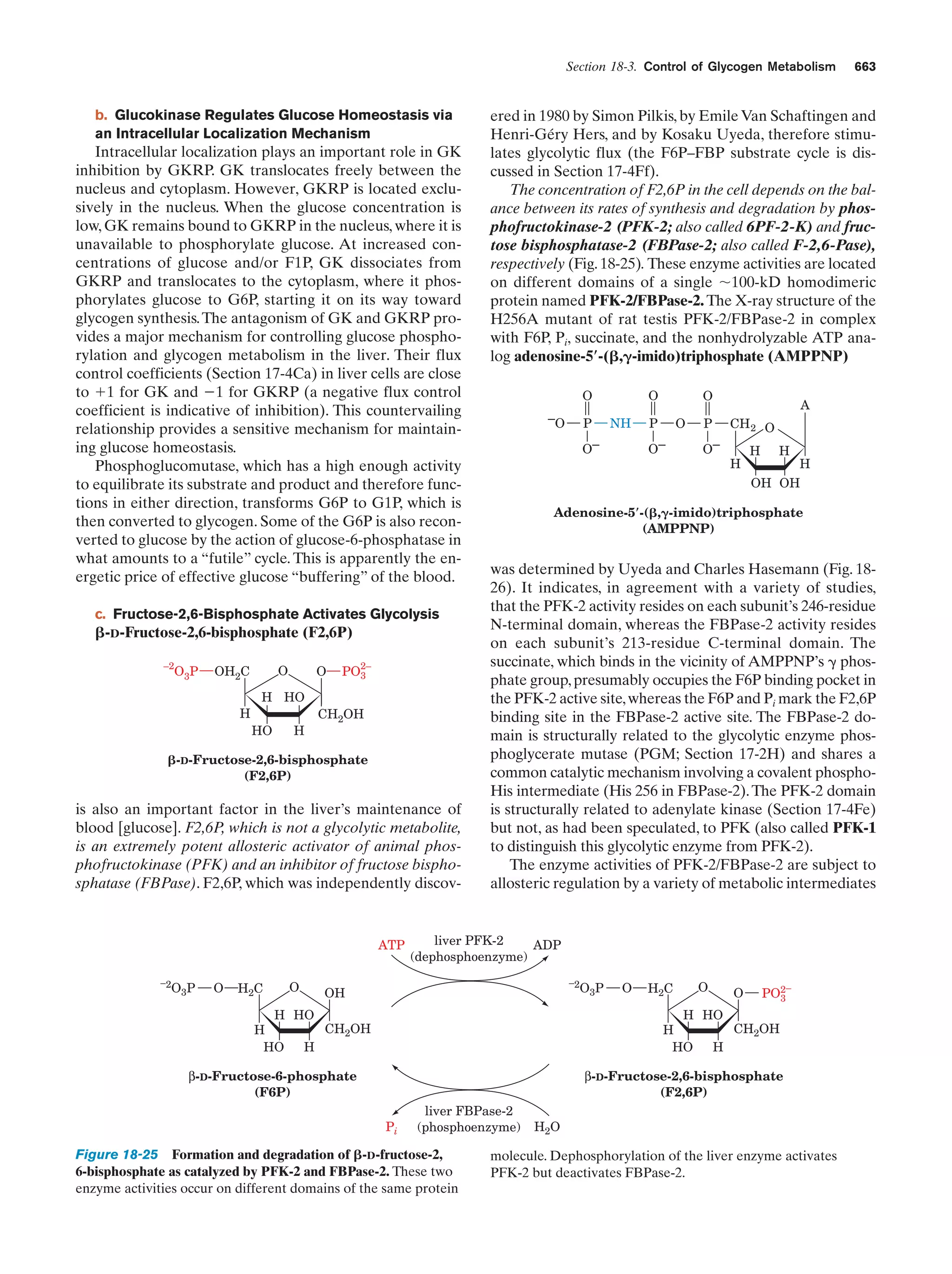 Biochemistry.4th.edition
