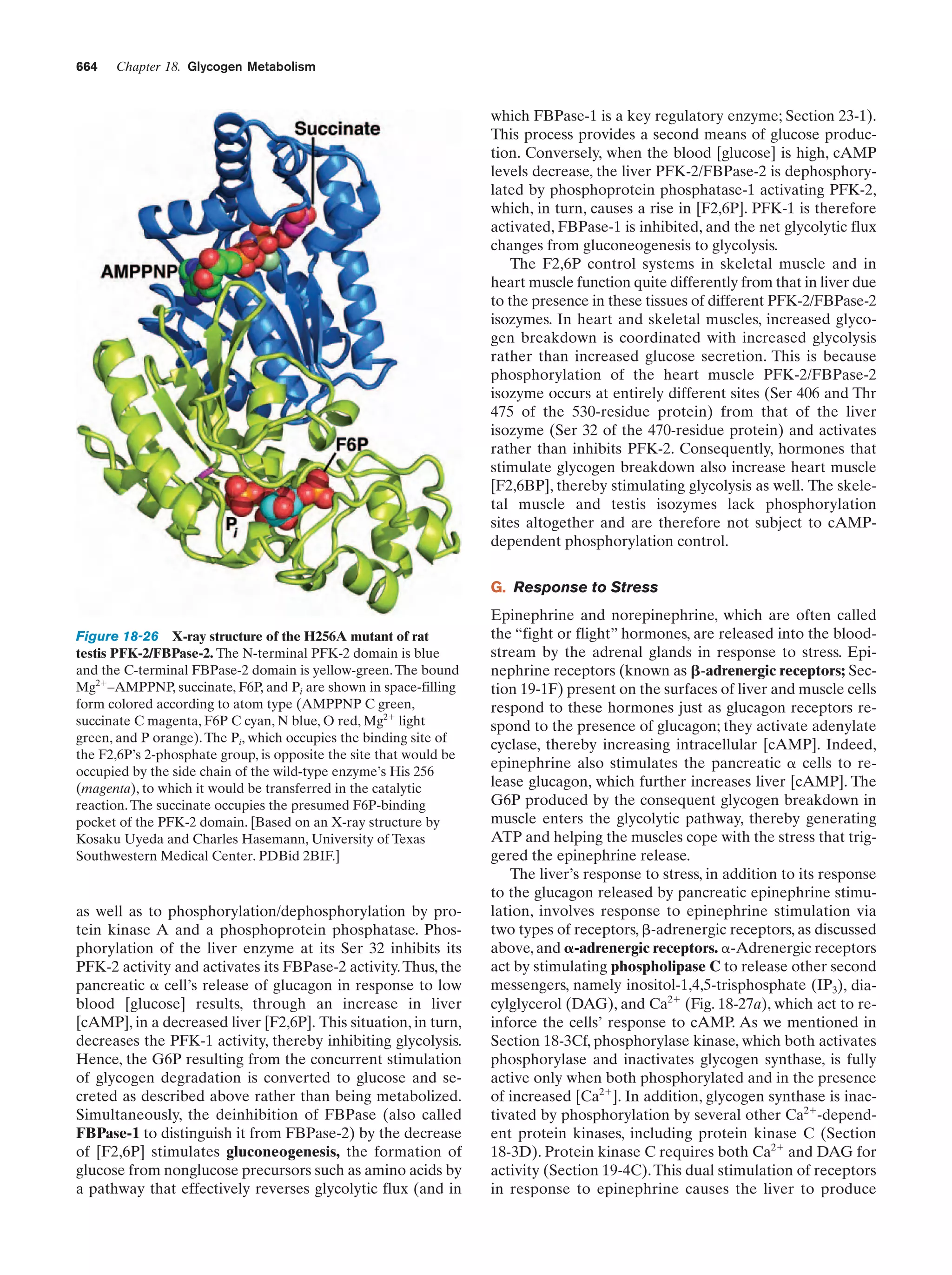 Biochemistry.4th.edition